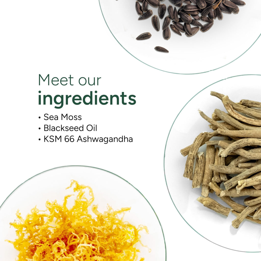 ROOT LABS Sea Moss Gummies I 92+ Minerals I Black Seed Oil I KSM 66 Ashwagandha I Lab Tested I No Added Sugar | for Men, Women I Non-GMO I 100% Natural & Organic I 1600 mg I 120 Gummy - TrustMedUSA