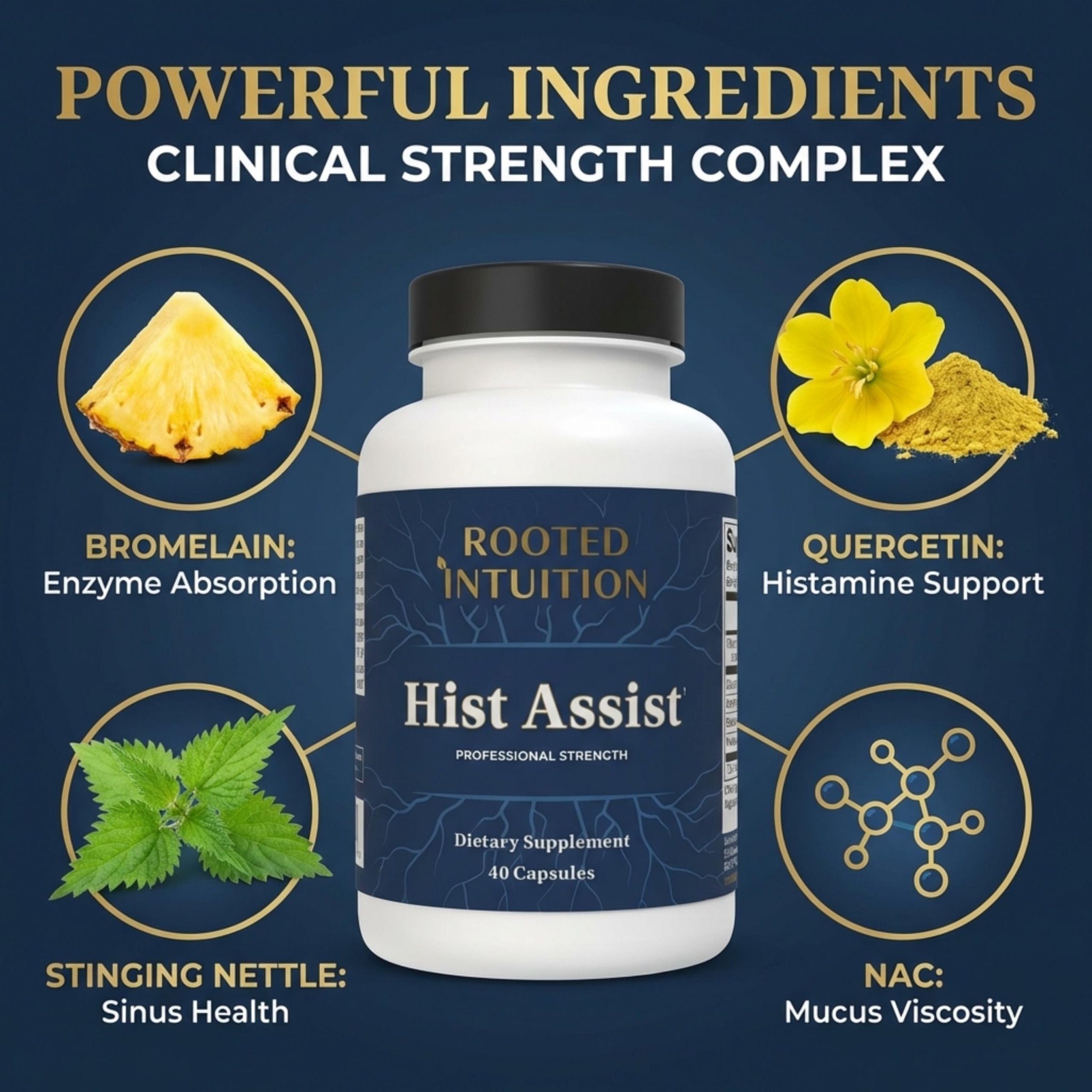 Rooted Intuition Hist Assist | Seasonal Sinus & Immune Balance Formula | Quercetin Bromelain NAC Nettle | Non-GMO Gluten Free | 40 Capsules - Maple Wellness Supplements