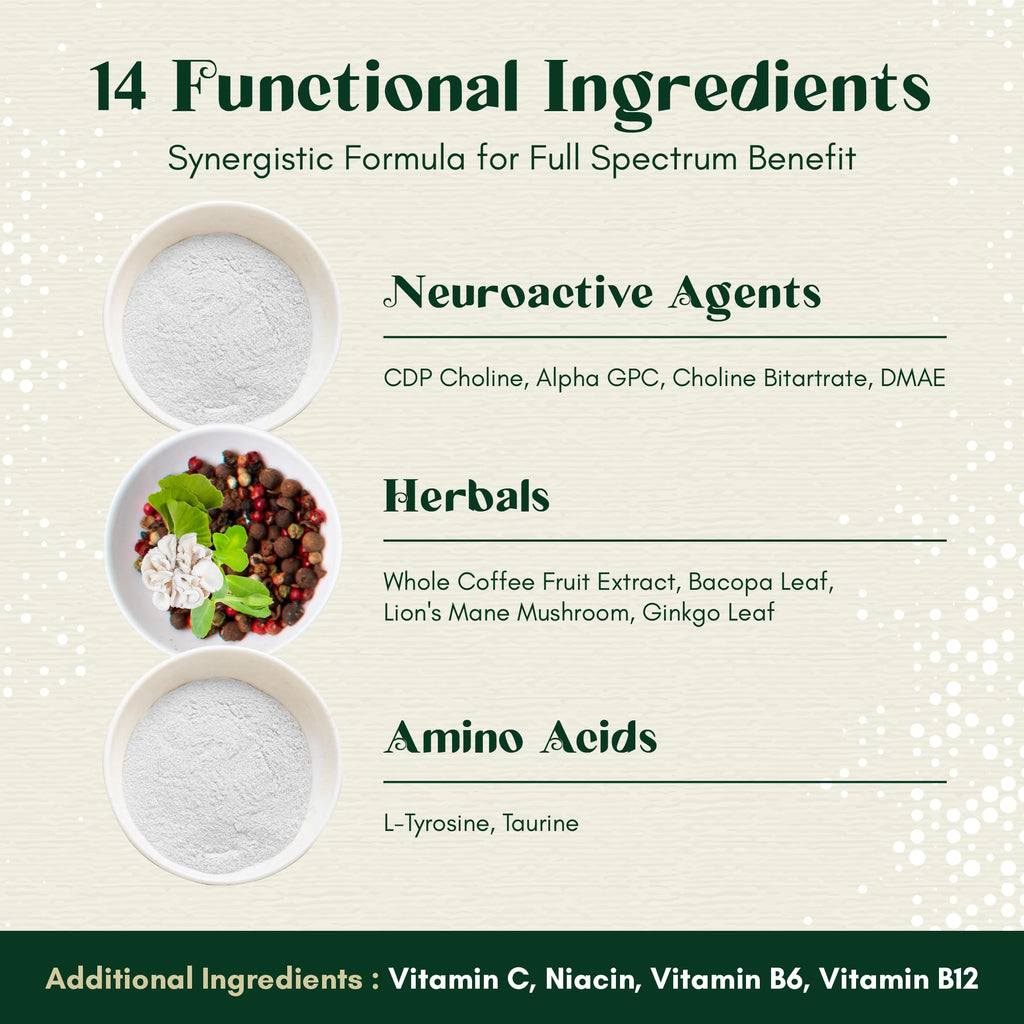 Rootful Mind Alpha Focus Nootropic - Memory and Focus Brain Booster Supplement with Choline, Citicoline, GPC, L-Tyrosine, Bacopa Monnieri, DMAE, Gingko Biloba, Lion's Mane, Niacinamide - 60 Capsules - TrustMedUSA