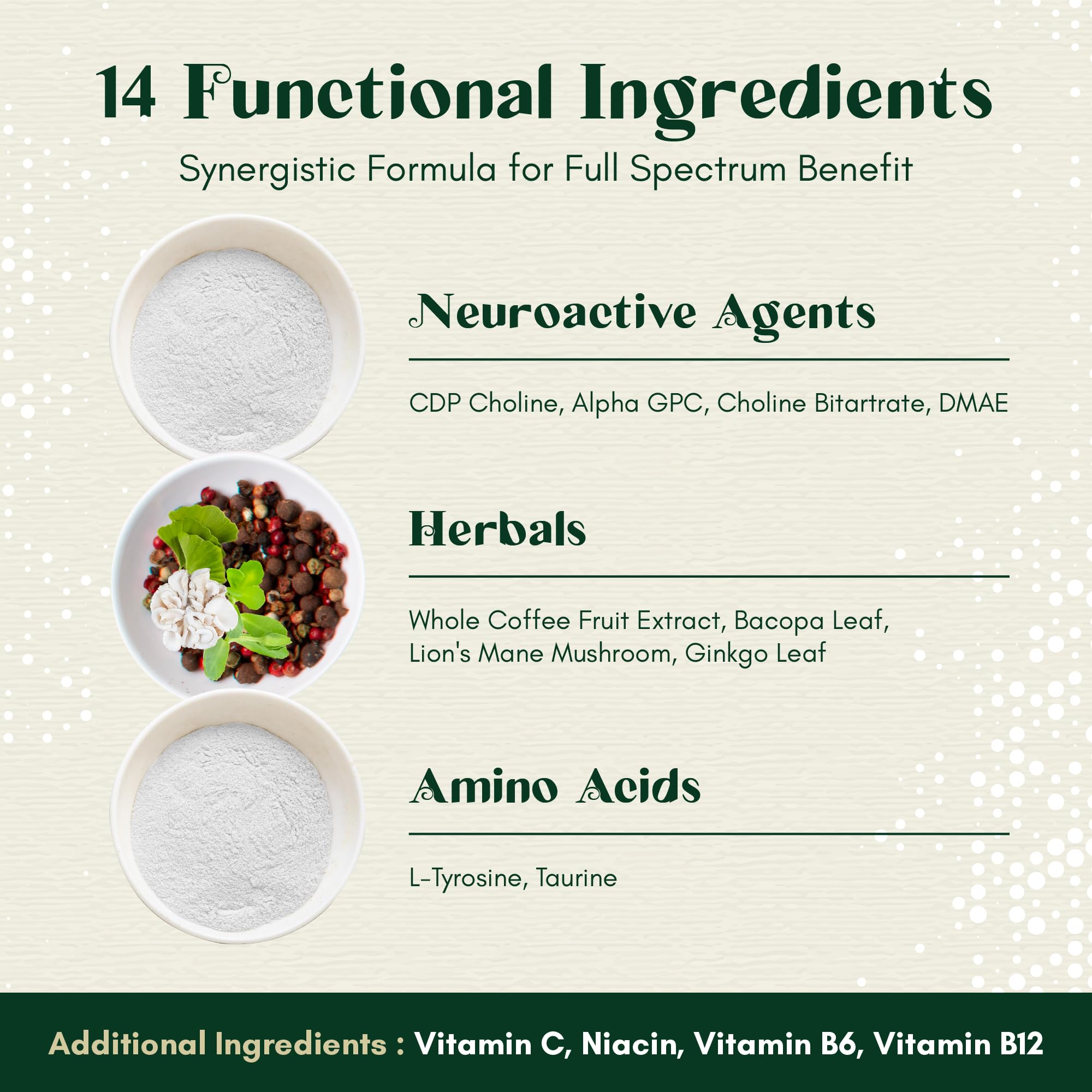 Rootful Mind Alpha Focus Nootropic - Memory and Focus Brain Booster Supplement with Choline, Citicoline, GPC, L-Tyrosine, Bacopa Monnieri, DMAE, Gingko Biloba, Lion's Mane, Niacinamide - 60 Capsules - TrustMedUSA
