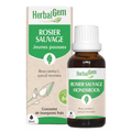 Rosier sauvage BIO Macérat mère jeunes pousses Flacon 30 ml HERBALGEM - TrustMedUSA