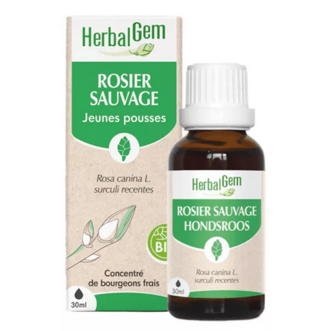 Rosier sauvage BIO Macérat mère jeunes pousses Flacon 30 ml HERBALGEM - TrustMedUSA