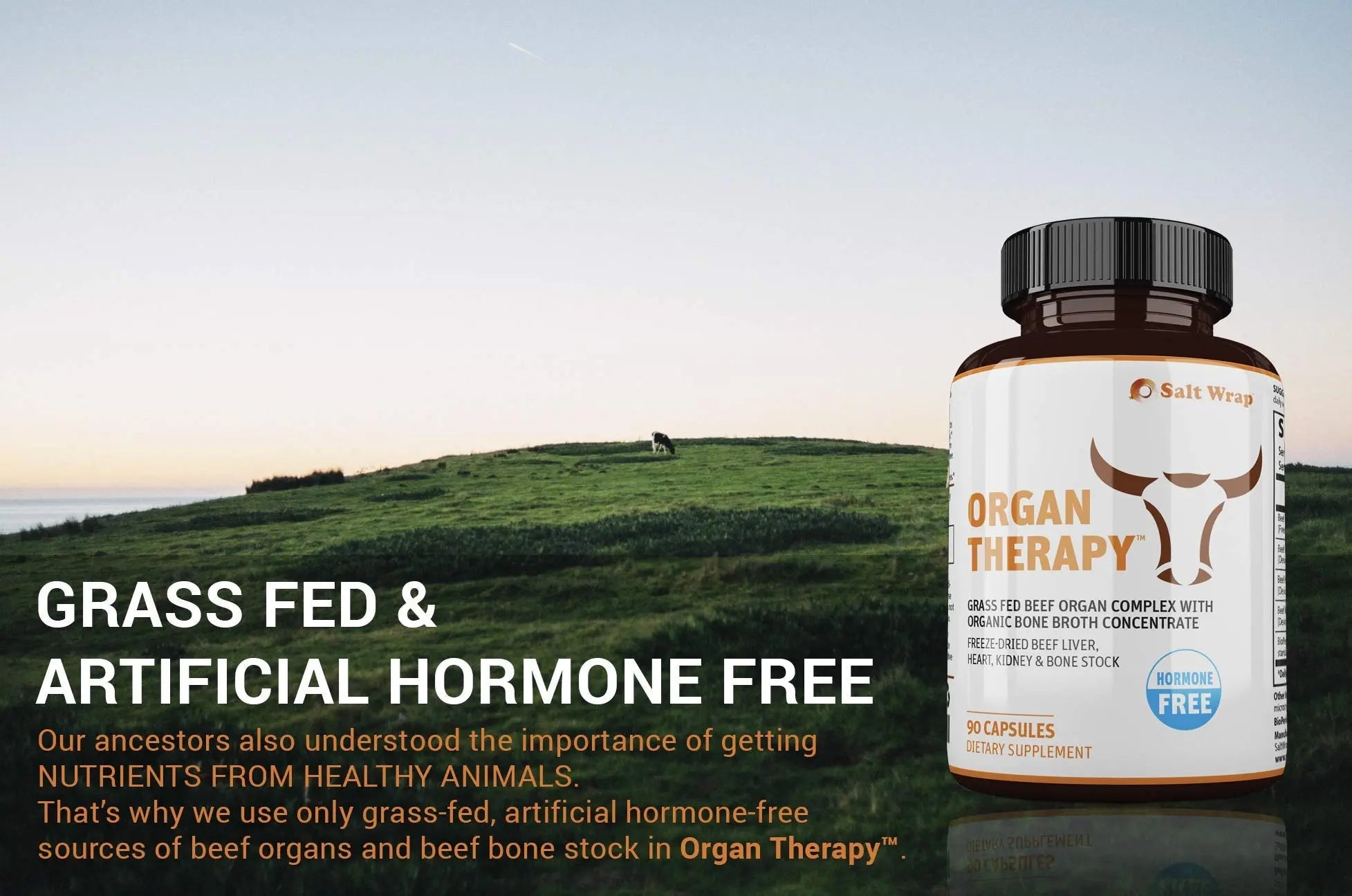 SaltWrap Organ Therapy - Grass Fed Beef Organ Meat Complex Supplement with Organic - TrustMedUSA