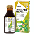 Salus Gallexier Organic Digestion Drink 250ml - TrustMedUSA