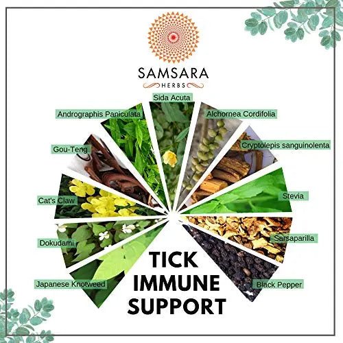 Samsara Herbs Tick Immune Support - The Original Herbal Formula (240 Capsules) - TrustMedUSA