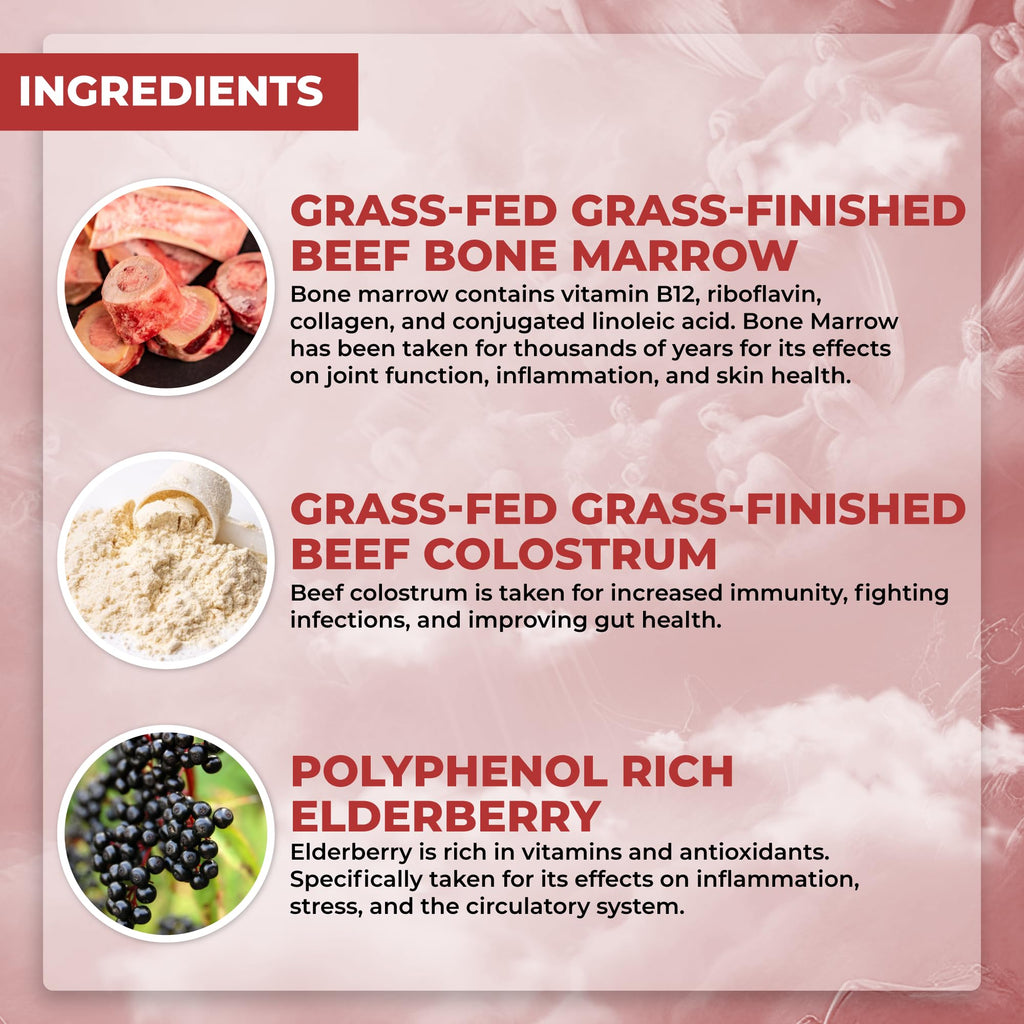 Santa Cruz Paleo, Food of the Gods Grass Fed Beef Organ Supplement for Men and Women, with Collagen, Maca Root, Colostrum, Bone Broth, Iron, Vitamin B12, Gluten Free, Keto Friendly, 30 Servings - TrustMedUSA