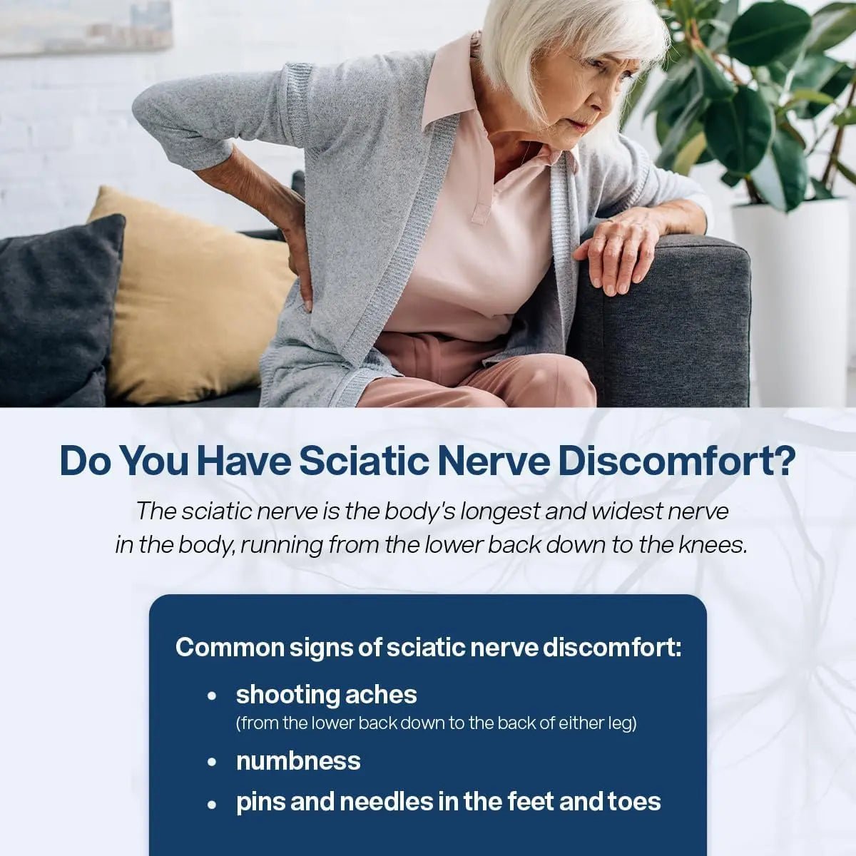 SciatiEase Sciatic Nerve Health Support Sciatic Nerve Supplement - TrustMedUSA