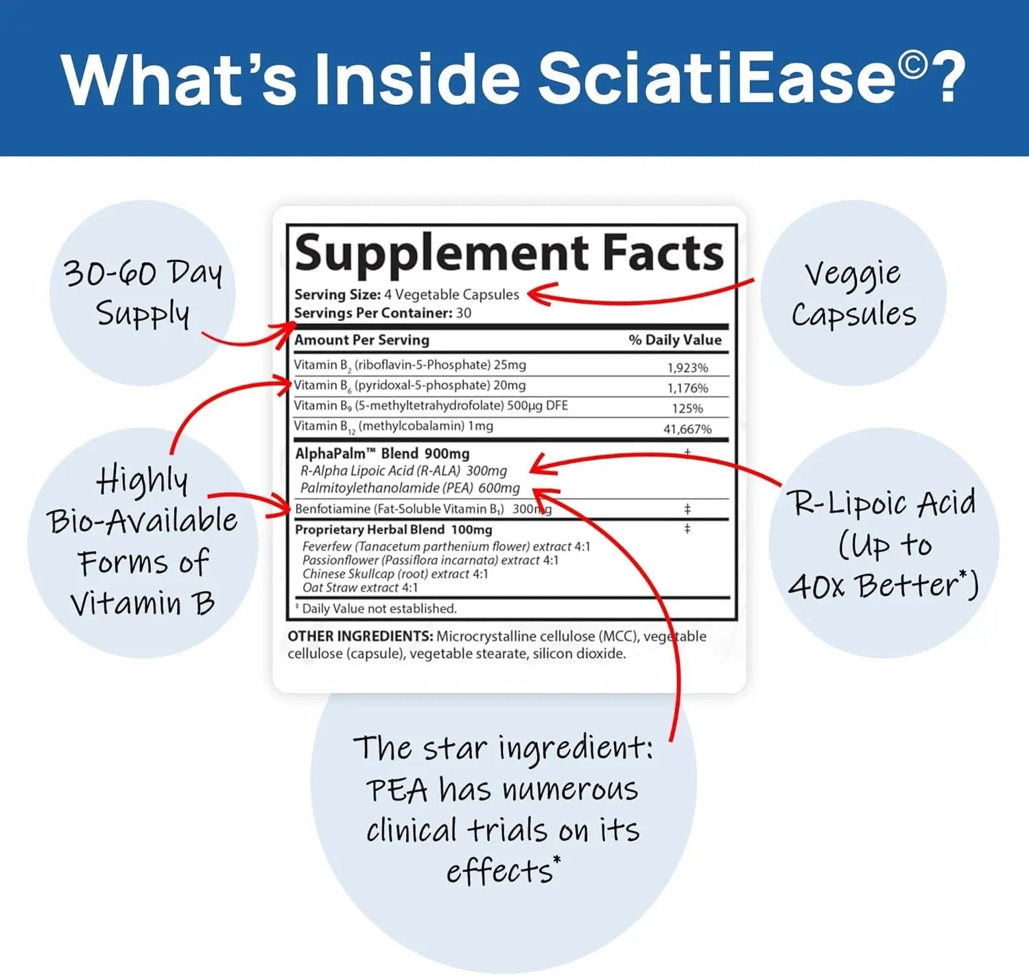 SciatiEase Sciatic Nerve Health Support Sciatic Nerve Supplement - TrustMedUSA