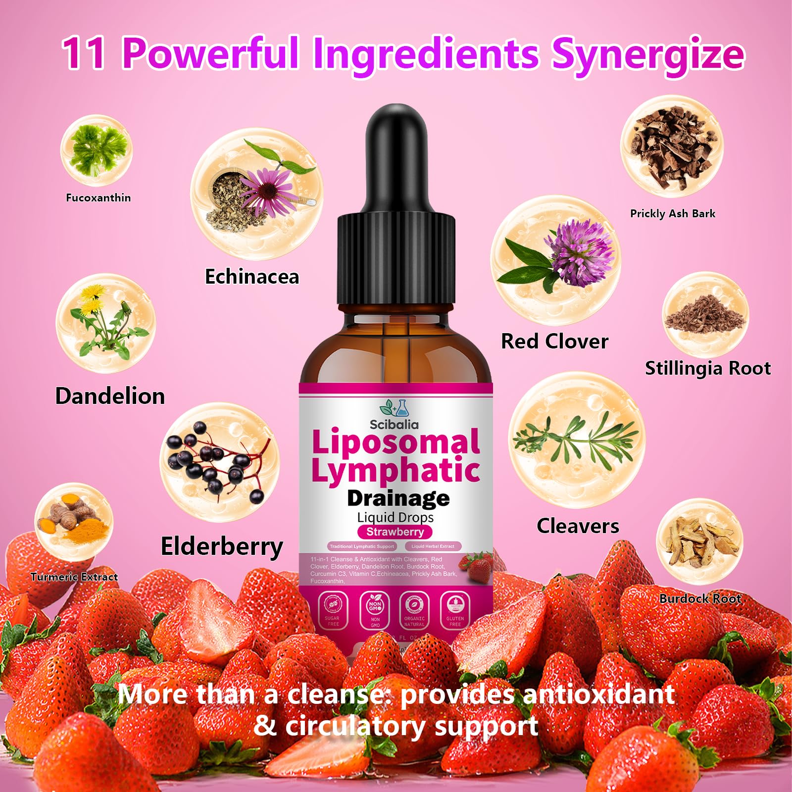 Scibalia Liposomal Lymphatic Drainage Drops, 11-in-1 Organic Lymphatic Support with Red Clover Echinacea Elderberry Burdock Root for Lymph Cleanse Immune Support & Daily Detox Vegan Non-GMO - TrustMedUSA