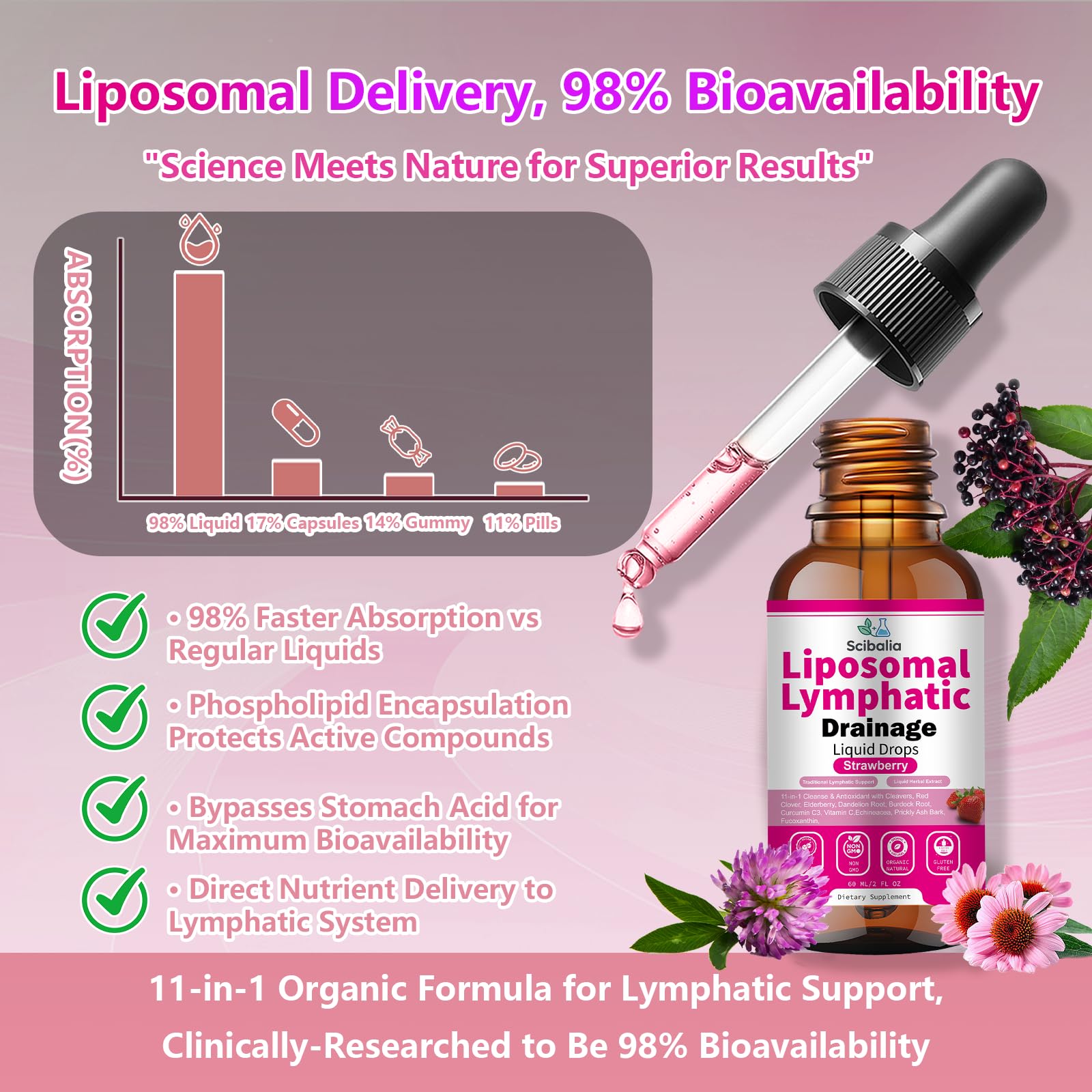 Scibalia Liposomal Lymphatic Drainage Drops, 11-in-1 Organic Lymphatic Support with Red Clover Echinacea Elderberry Burdock Root for Lymph Cleanse Immune Support & Daily Detox Vegan Non-GMO - Maple Wellness Supplements