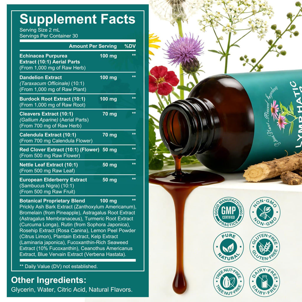 SDJUFEI 21-in-1 Lymphatic Drainage Drops， Lymphatic Support Liquid Drops with Turmeric, Echinacea, Elderberry & Dandelion, for Women & Men, 2 fl oz - Maple Wellness Supplements