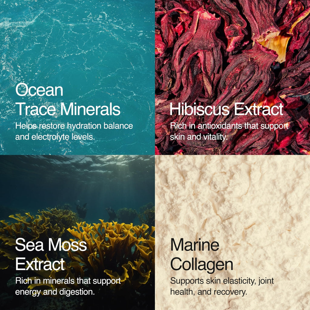 Sea Bloom Labs Marine Collagen Powder Stick Packs with Sea Moss Powder and Electrolytes, Hydration and Beauty Blend - Mango (8-Pack) - TrustMedUSA