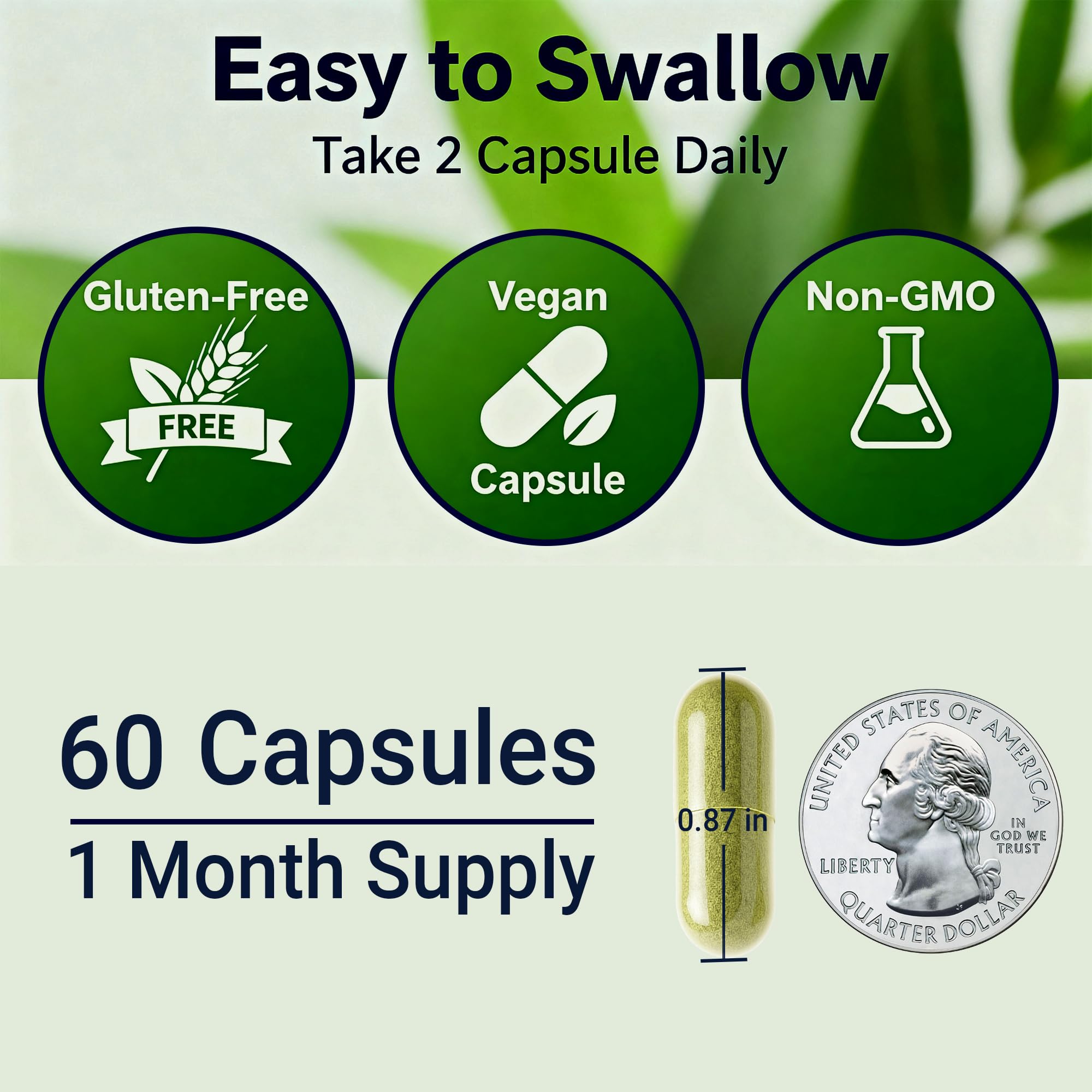 Sea Moss Black Seed Oil Ashwagandha Ginger - Advanced Irish Sea Moss Capsules All in One Supplement with Seamoss Black Seed Oil Ashwagandha Burdock Root Bladderwrack - Pills for Energy, Immune, Gut - TrustMedUSA