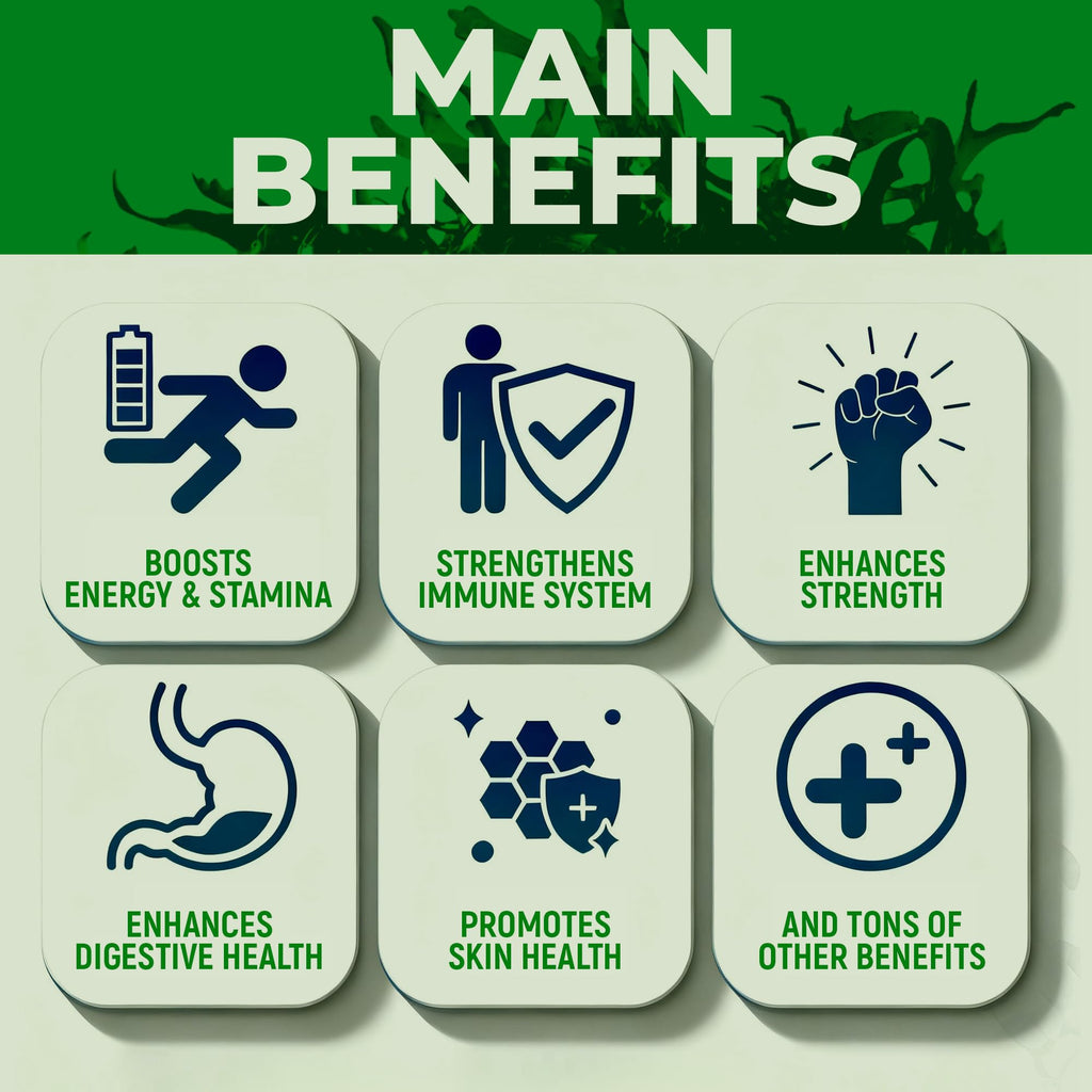 Sea Moss Black Seed Oil Ashwagandha Ginger - Advanced Irish Sea Moss Capsules All in One Supplement with Seamoss Black Seed Oil Ashwagandha Burdock Root Bladderwrack - Pills for Energy, Immune, Gut - TrustMedUSA