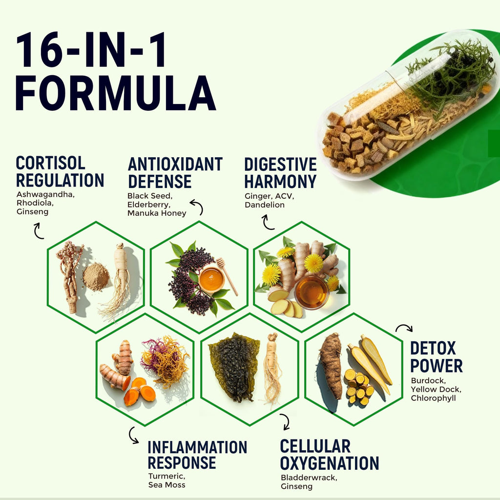 Sea Moss Black Seed Oil Ashwagandha Ginger - Advanced Irish Sea Moss Capsules All in One Supplement with Seamoss Black Seed Oil Ashwagandha Burdock Root Bladderwrack - Pills for Energy, Immune, Gut - TrustMedUSA