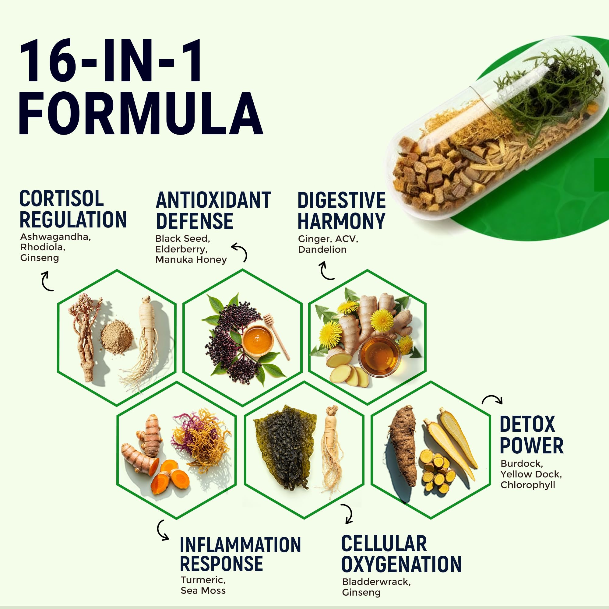 Sea Moss Black Seed Oil Ashwagandha Ginger - Advanced Irish Sea Moss Capsules All in One Supplement with Seamoss Black Seed Oil Ashwagandha Burdock Root Bladderwrack - Pills for Energy, Immune, Gut - TrustMedUSA