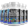 Sea Moss Black Seed Oil Ashwagandha Turmeric Bladderwrack Burdock & Vitamin C Vitamin D3 with Elderberry Manuka Dandelion Yellow Dock Iodine Chlorophyll ACV - 5Pack - TrustMedUSA