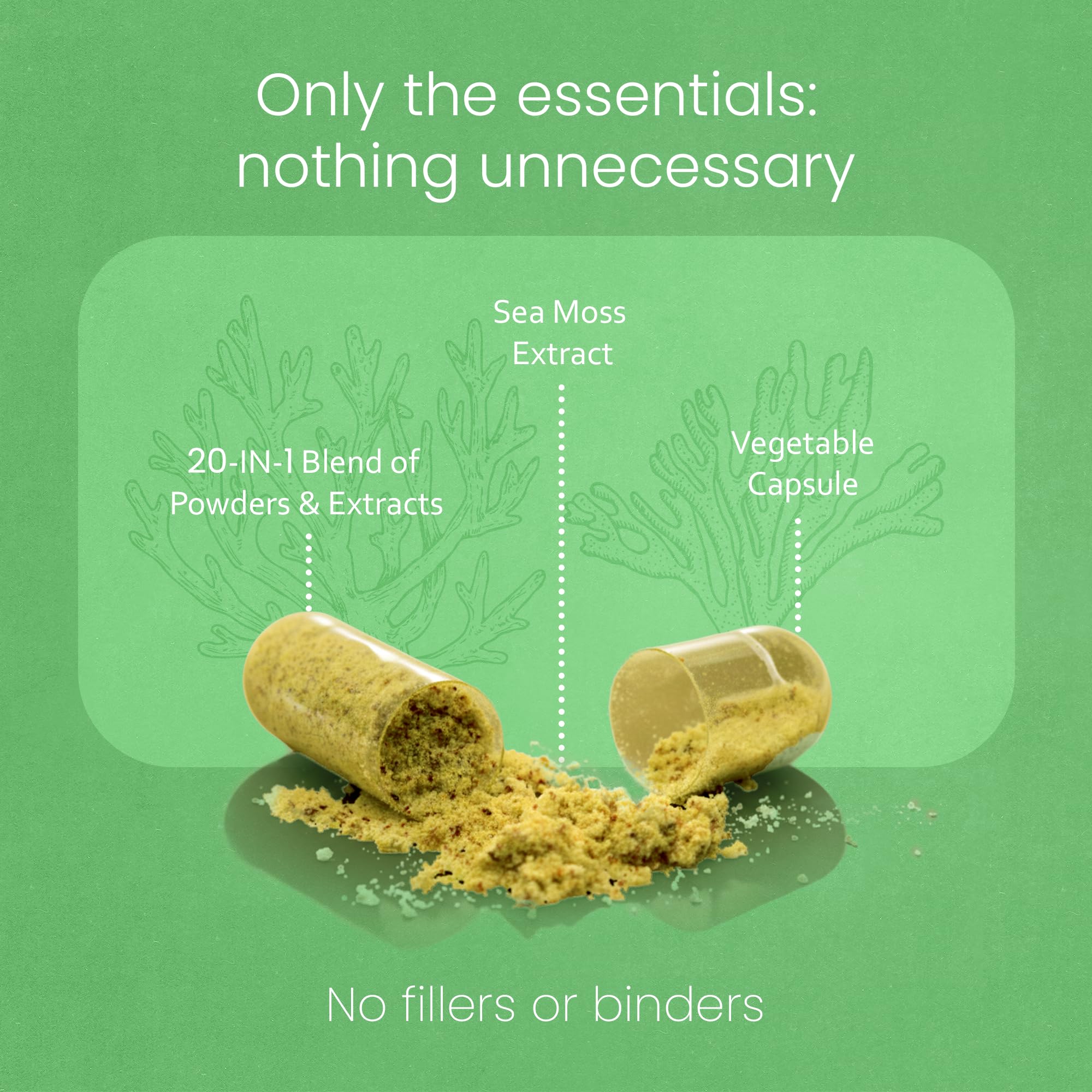 Sea Moss, Black Seed Oil, Bladderwrack, Turmeric, Ashwagandha, Burdock, Vitamin C, D3, Yellow Dock Root, Manuka, Dandelion - 90 Veggie caps - TrustMedUSA
