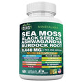 Sea Moss Capsules with Black Seed Oil, Burdock Root, Bladderwrack, Turmeric, Ashwagan - TrustMedUSA