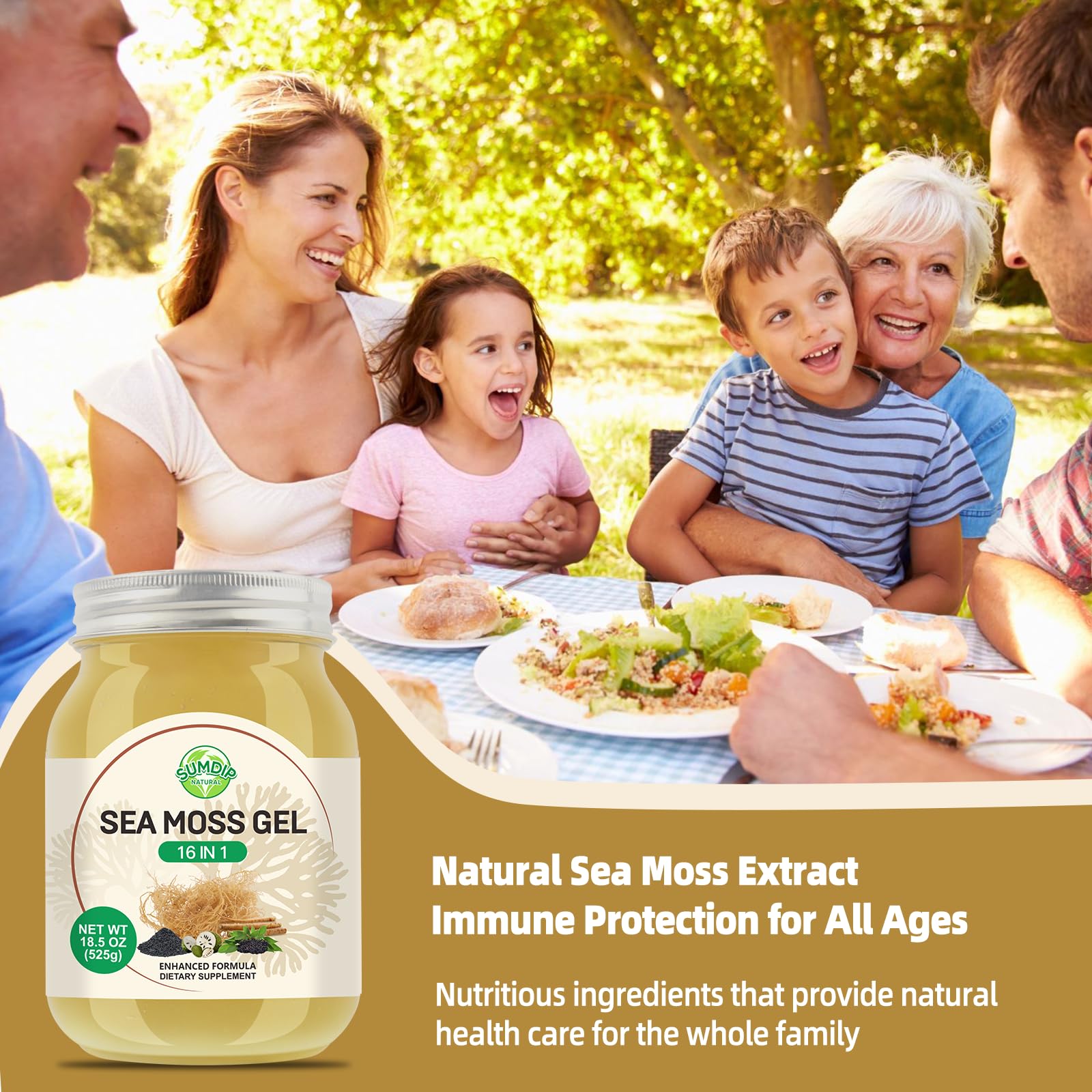 Sea Moss Gel - 18.5 oz Irish Seamoss Gel with Black Seed Oil and Ashwagandha, 16 in 1 Vegan Superfood Rich in Vitamins & Minerals, Raw Wildcrafted Seamoss for Immune & Digestion Support, Original - TrustMedUSA