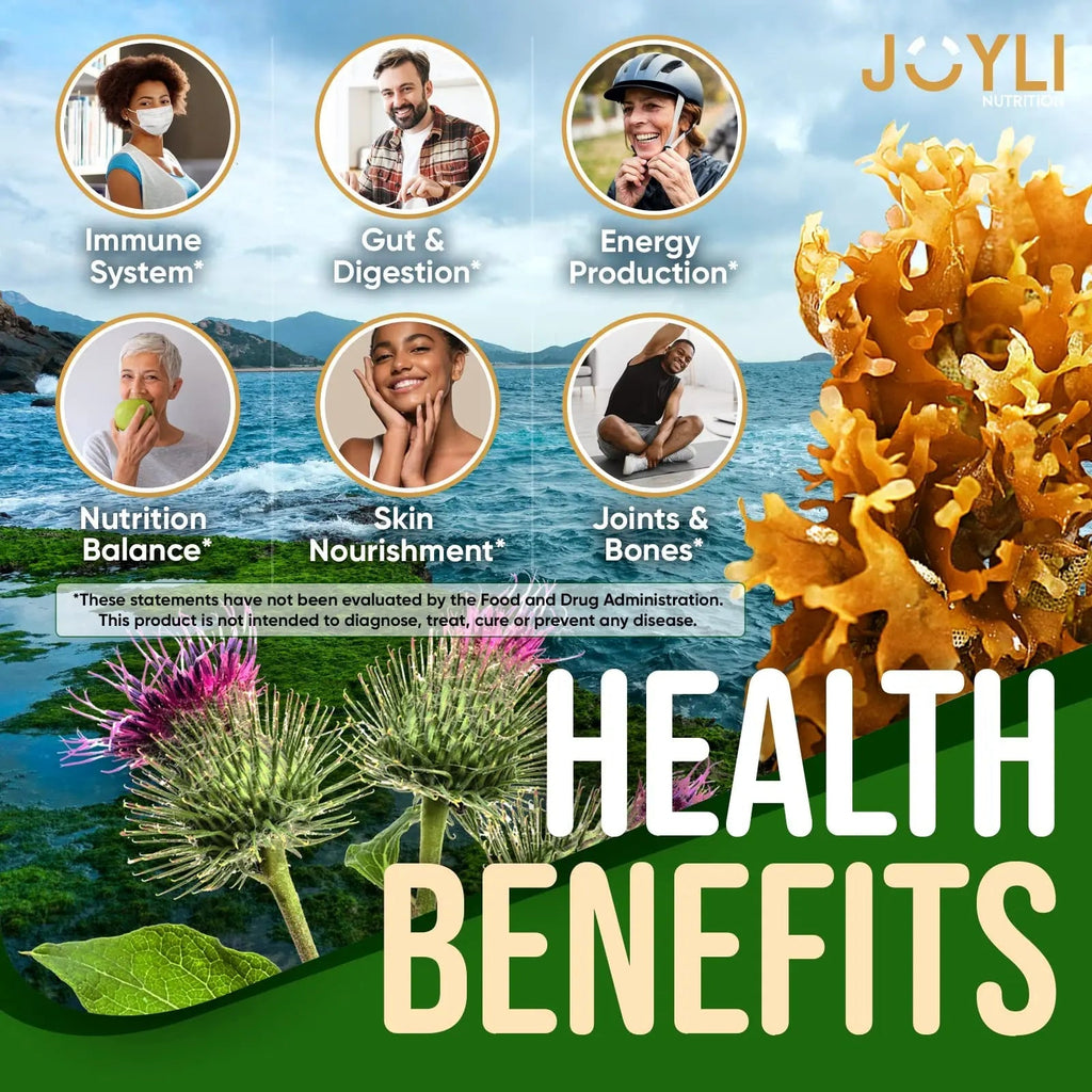 Sea Moss Gummies - Irish Seamoss Gummies for Adults & Kids - Advanced Superfood - TrustMedUSA