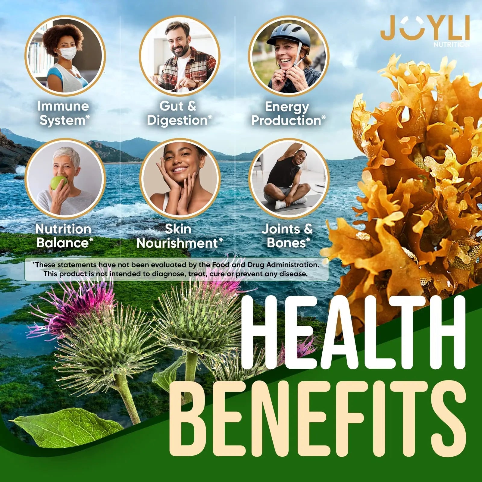 Sea Moss Gummies - Irish Seamoss Gummies for Adults & Kids - Advanced Superfood Supplement with Natural Sea Moss Gel, Bladderwrack & Burdock Root Extract - 60 Vegan Irish Moss Gummy Bears - TrustMedUSA