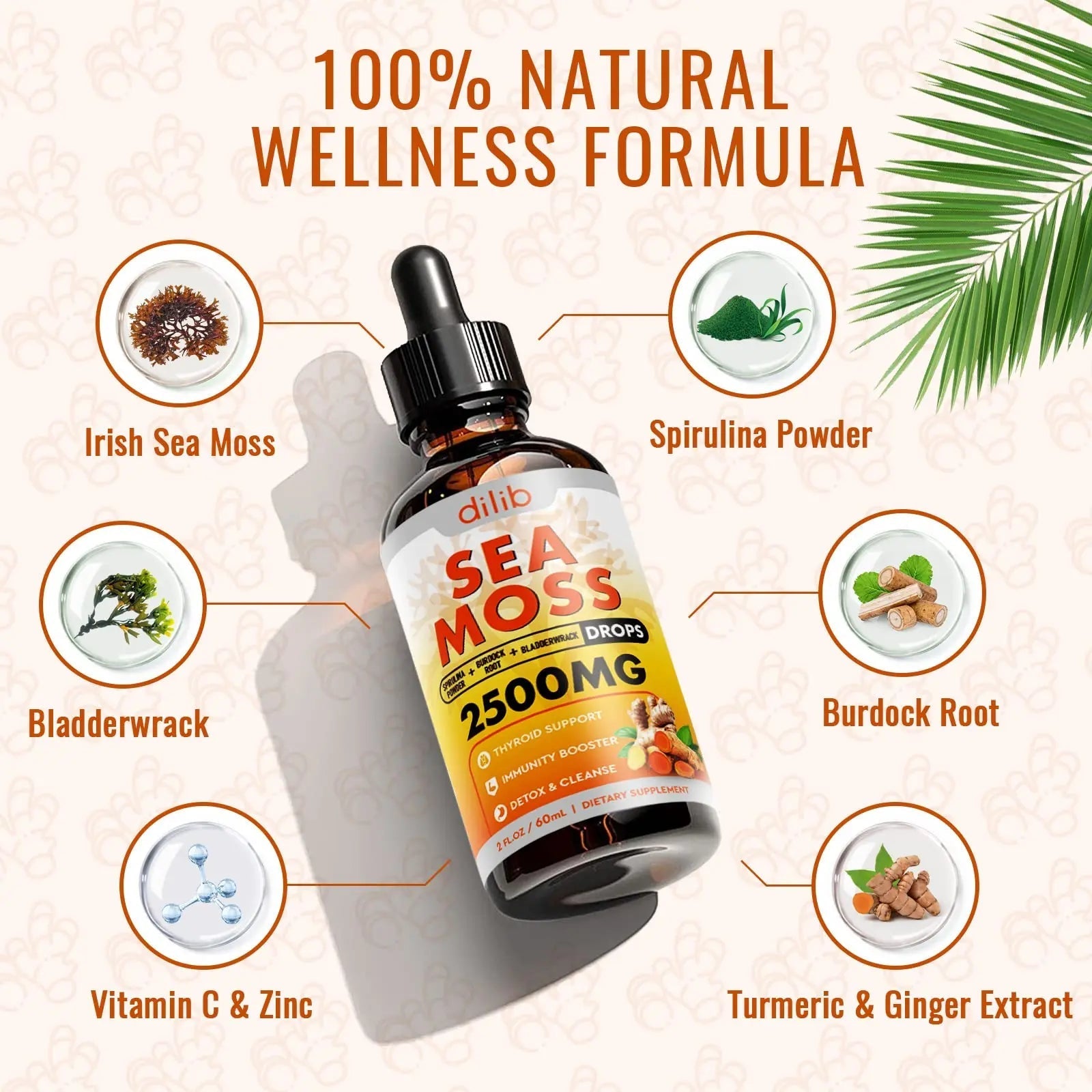 Sea Moss Liquid Drops: Organic Irish Sea Moss 2500mg with Turmeric, Bladderwrack - TrustMedUSA
