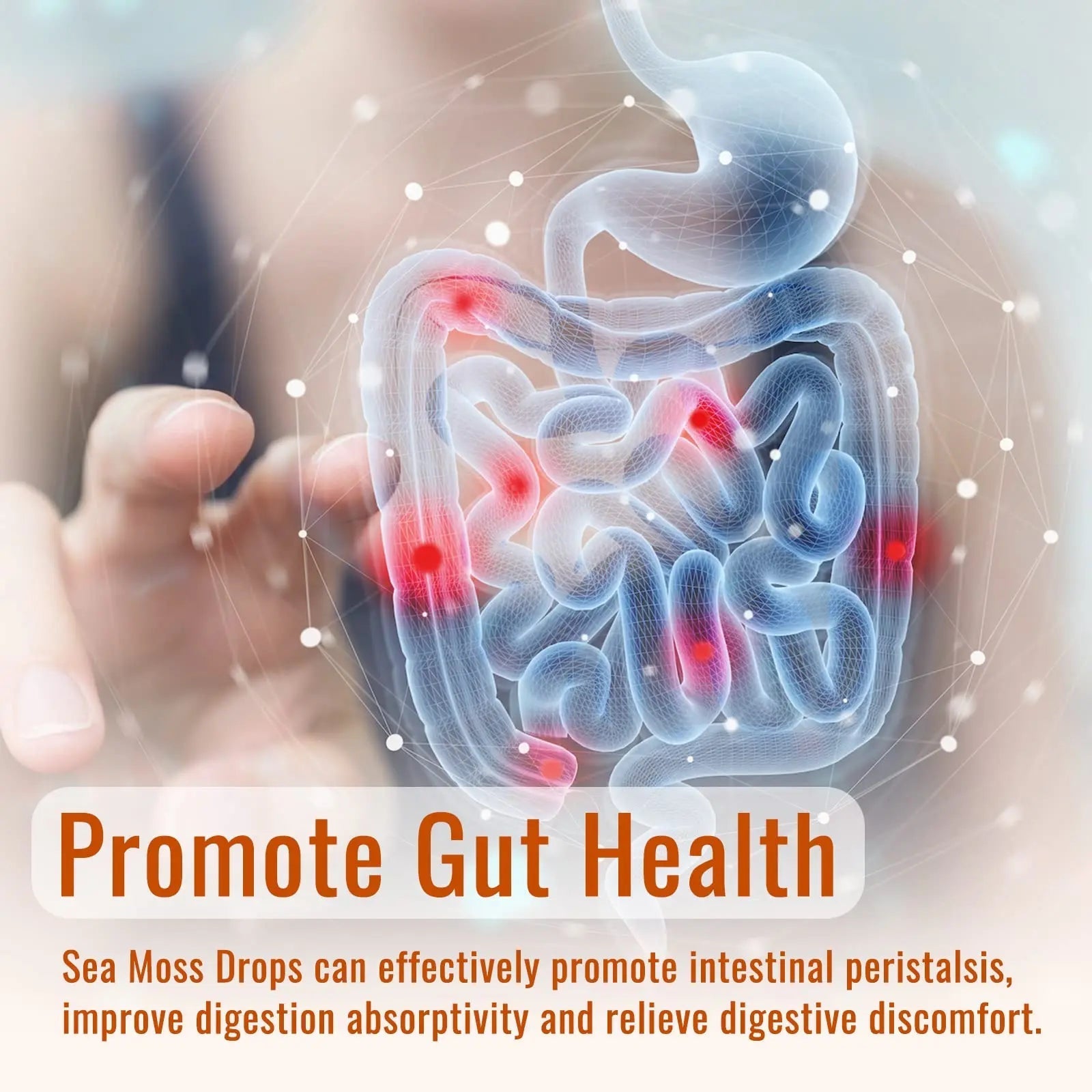 Sea Moss Liquid Drops: Organic Irish Sea Moss 2500mg with Turmeric, Bladderwrack - TrustMedUSA