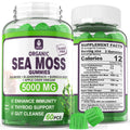 Sea Moss Supplement 5000mg, Sugar Free Sea Moss Gummies, Irish Sea Moss - TrustMedUSA