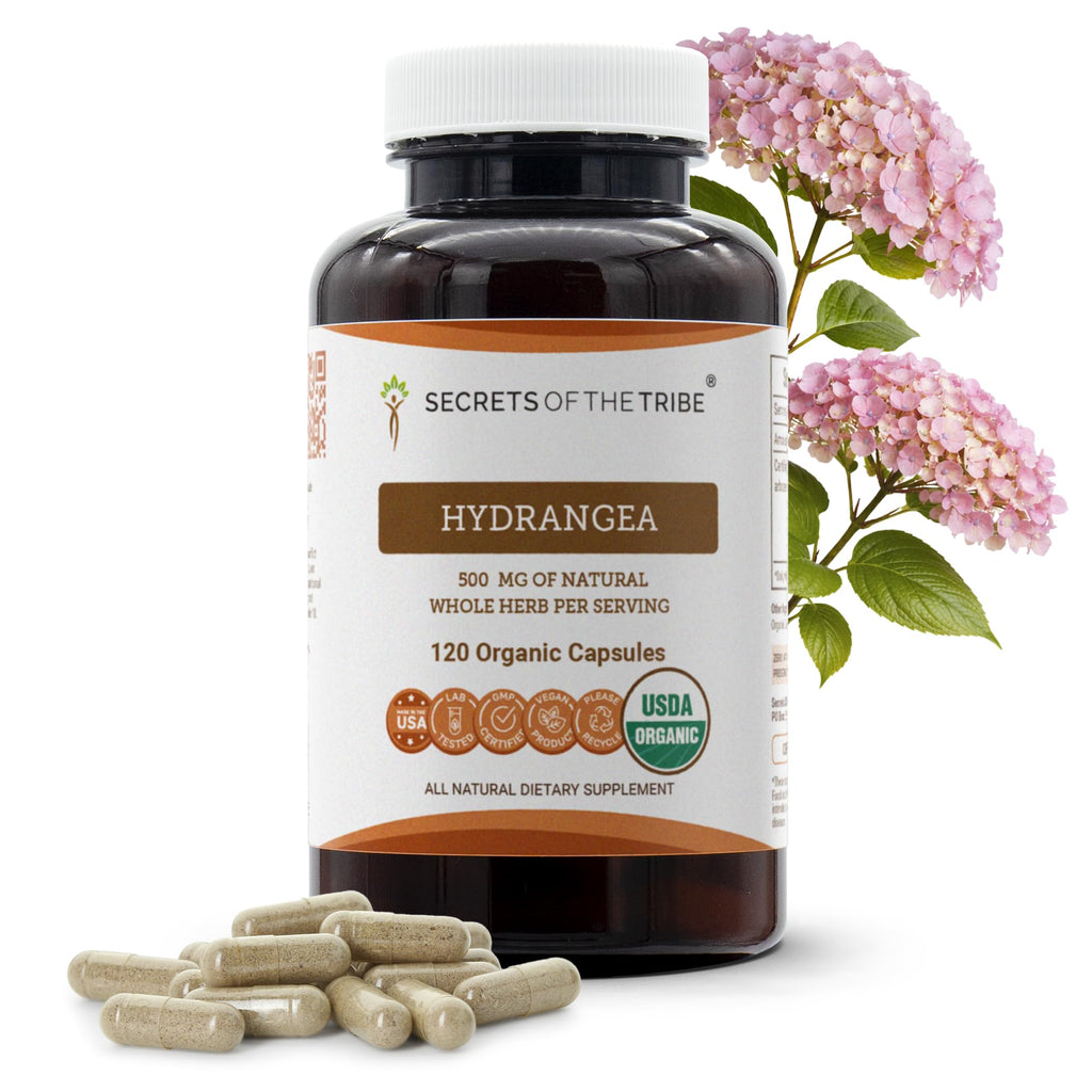 Secrets of the Tribe Hydrangea USDA Organic Capsules | Certified Organic Vegetarian Capsules, Herbal Dietary Supplement | Hydrangea arborescens Dried Root (120 Count) - TrustMedUSA
