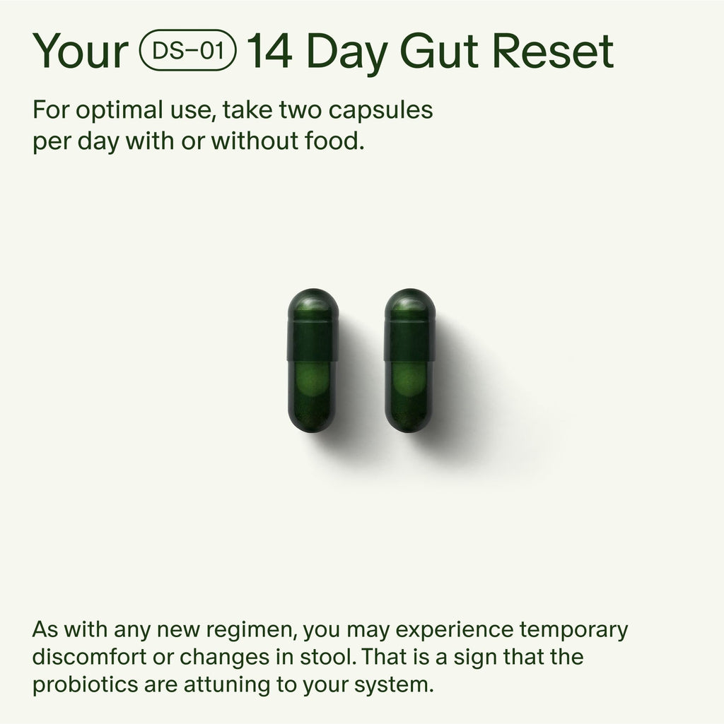 Seed 14 Day Gut Reset - Prebiotic and Probiotic for Women & Men - Digestive Health, Gut Health, Rapid Gut Recovery, Bloating & Constipation Relief - Vegan & Shelf-Stable - 28 Capsules (14-Day Supply) - Maple Wellness Supplements