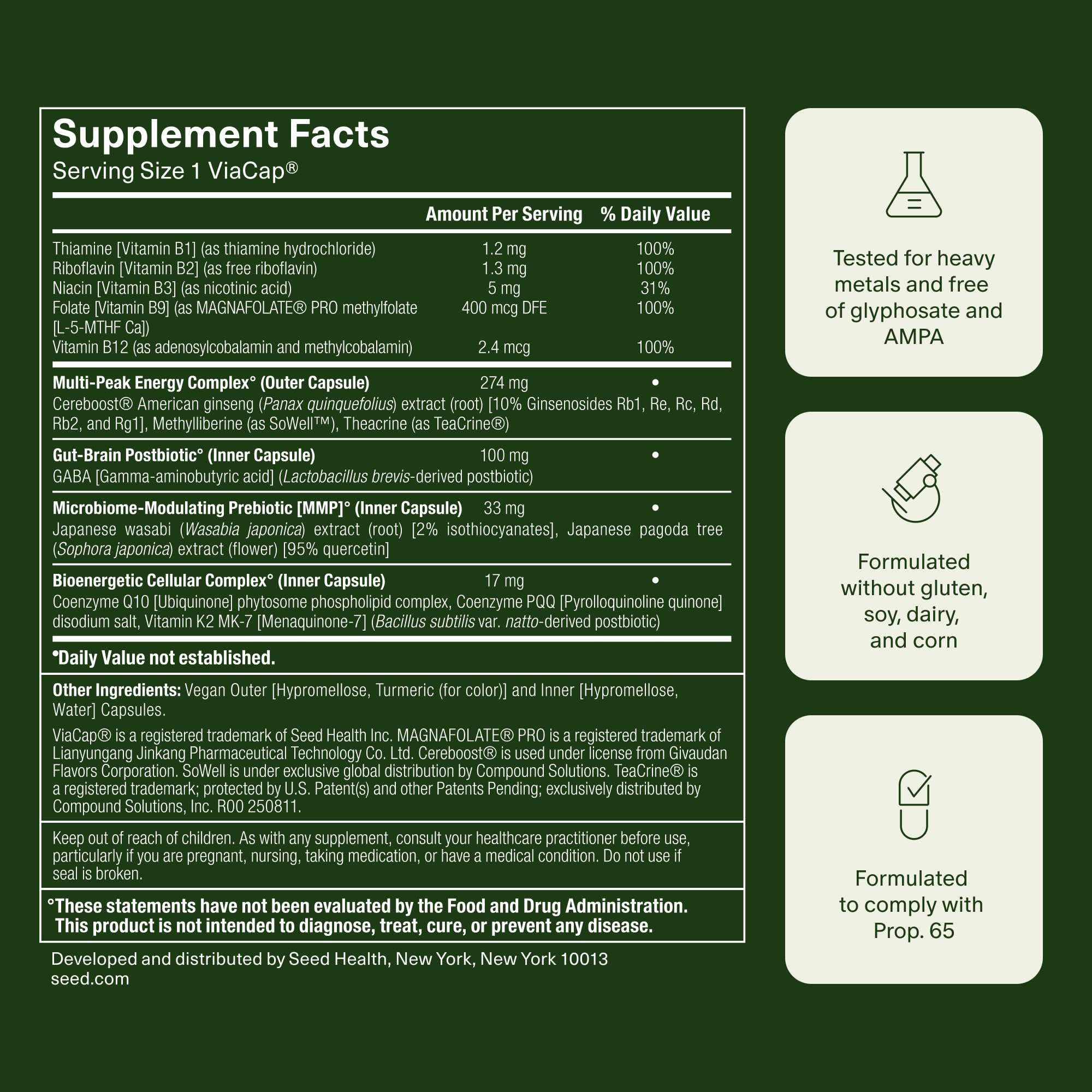 Seed AM-02 Energy + Focus - Daily Nootropic Supplement for Women & Men - Fast-Acting & Sustained Energy for Up to 6 Hours - Caffeine-Free Vegan & Shelf-Stable - 30 Capsules (30-Day Supply) - Maple Wellness Supplements