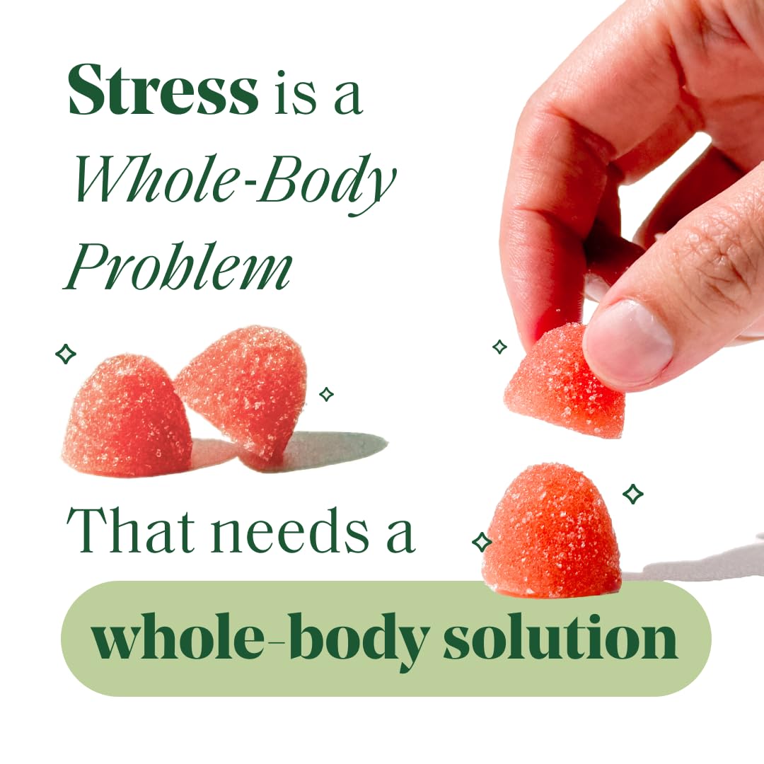 Semaine Stress Less Gummy with Cortisol Care™ 60 Count – Daily Support for Stress, Mood & Sleep - TrustMedUSA