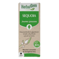 Sequoia BIO Macérat mère Flacon 30 ml HERBALGEM - TrustMedUSA
