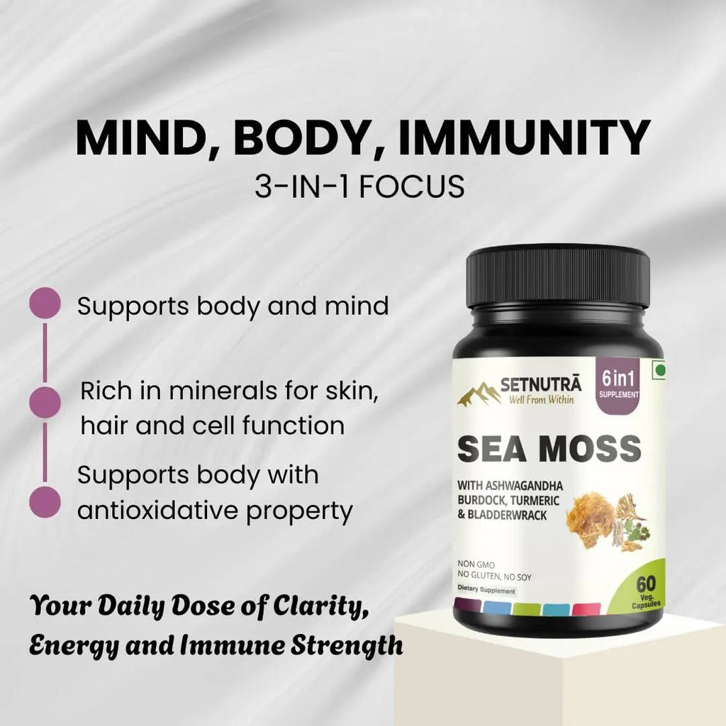 SETNUTRA Well From Within Sea Moss 6 in 1 Super Blend Ashwagandha Burdock Turmeric & Bladderwrack Immunity & Detox Support 60 Veg Capsules Non GMO No Gluten - TrustMedUSA
