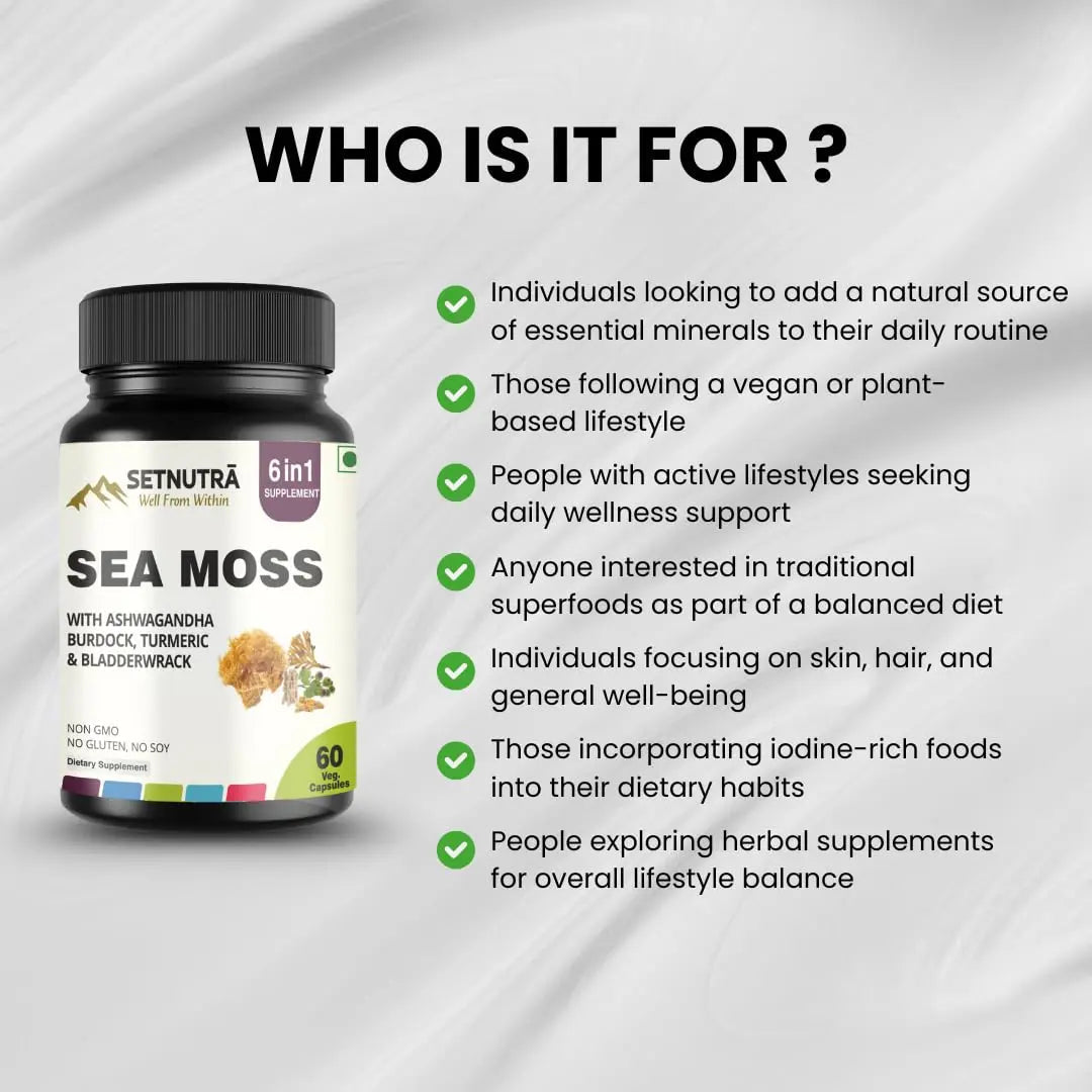 SETNUTRA Well From Within Sea Moss 6 in 1 Super Blend Ashwagandha Burdock Turmeric & Bladderwrack Immunity & Detox Support 60 Veg Capsules Non GMO No Gluten - TrustMedUSA