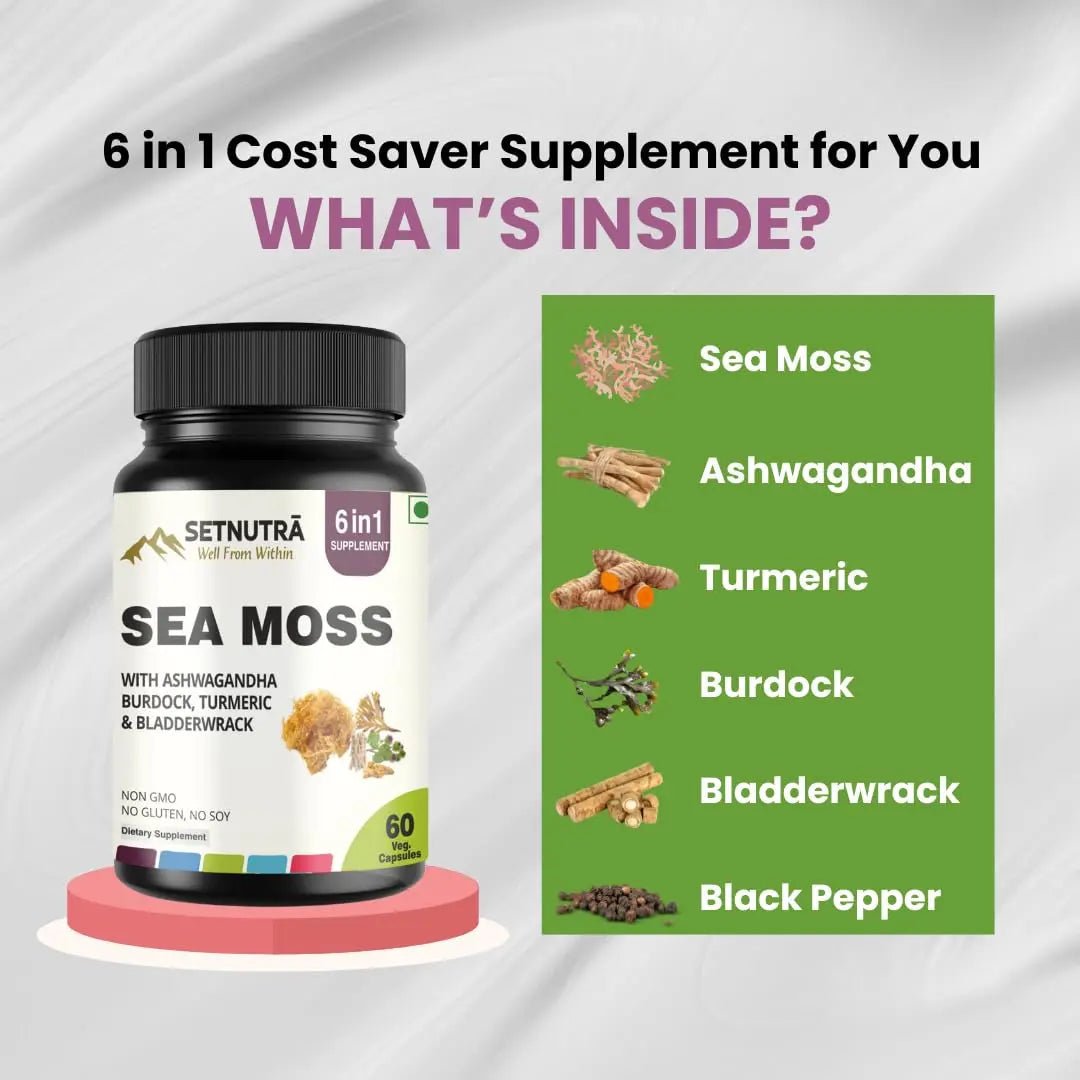 SETNUTRA Well From Within Sea Moss 6 in 1 Super Blend Ashwagandha Burdock Turmeric & Bladderwrack Immunity & Detox Support 60 Veg Capsules Non GMO No Gluten - TrustMedUSA