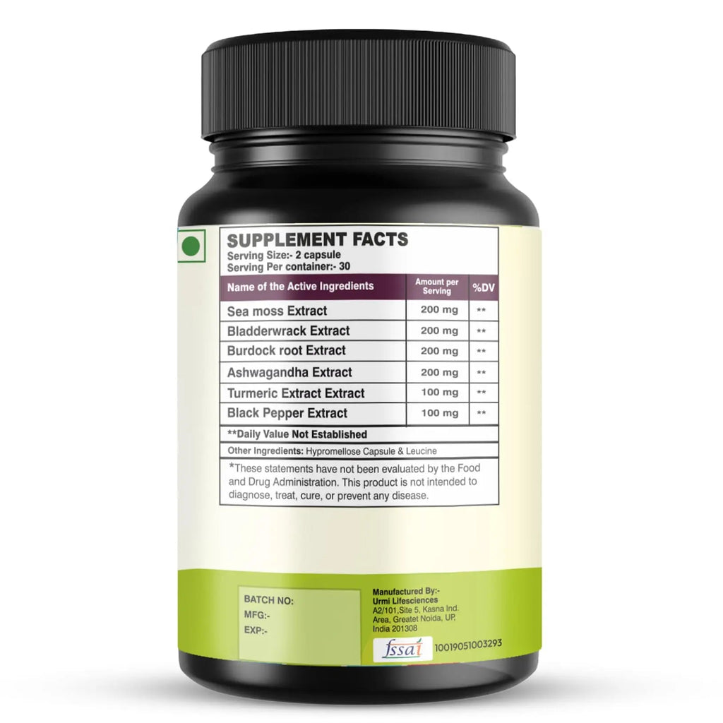 SETNUTRA Well From Within Sea Moss 6 in 1 Super Blend Ashwagandha Burdock Turmeric & Bladderwrack Immunity & Detox Support 60 Veg Capsules Non GMO No Gluten - TrustMedUSA