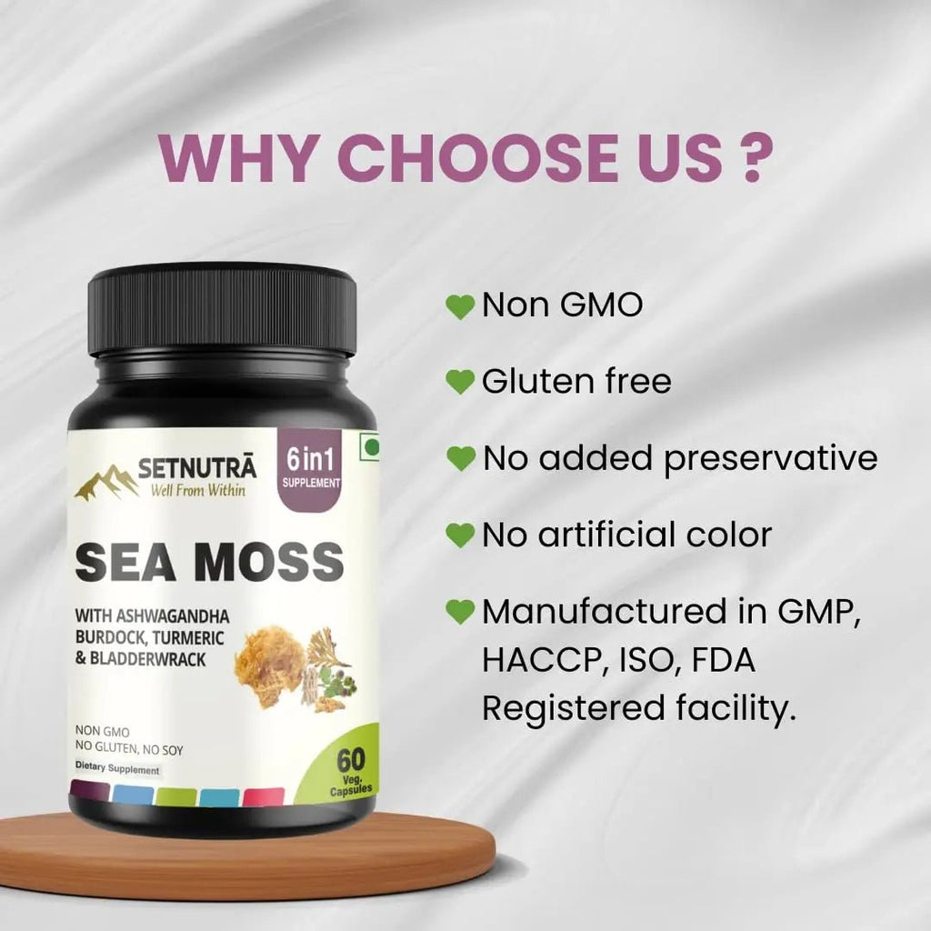 SETNUTRA Well From Within Sea Moss 6 in 1 Super Blend Ashwagandha Burdock Turmeric & Bladderwrack Immunity & Detox Support 60 Veg Capsules Non GMO No Gluten - TrustMedUSA