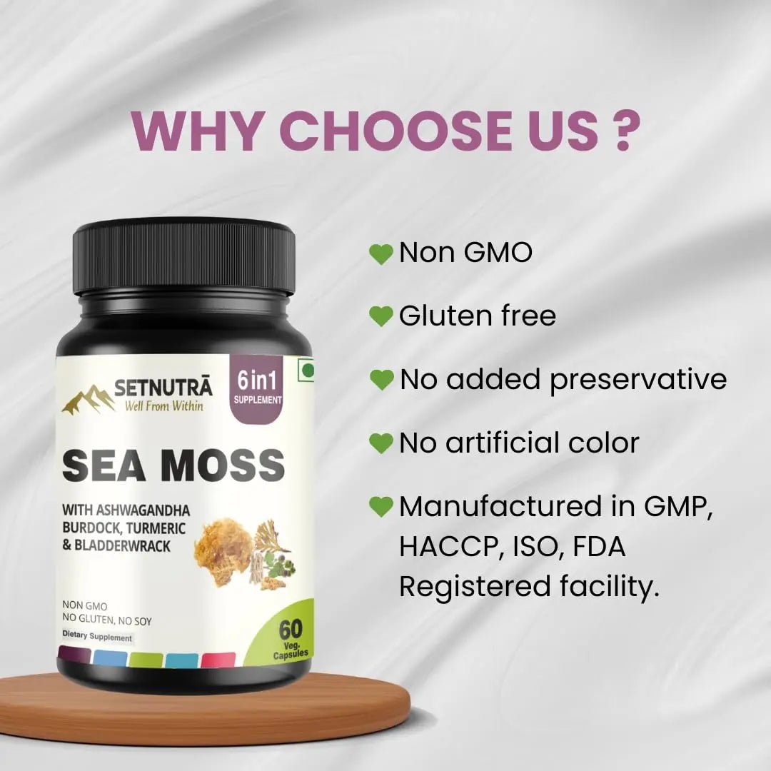 SETNUTRA Well From Within Sea Moss 6 in 1 Super Blend Ashwagandha Burdock Turmeric & Bladderwrack Immunity & Detox Support 60 Veg Capsules Non GMO No Gluten - TrustMedUSA