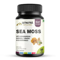 SETNUTRA Well From Within Sea Moss 6 in 1 Super Blend Ashwagandha Burdock Turmeric & Bladderwrack Immunity & Detox Support 60 Veg Capsules Non GMO No Gluten - TrustMedUSA