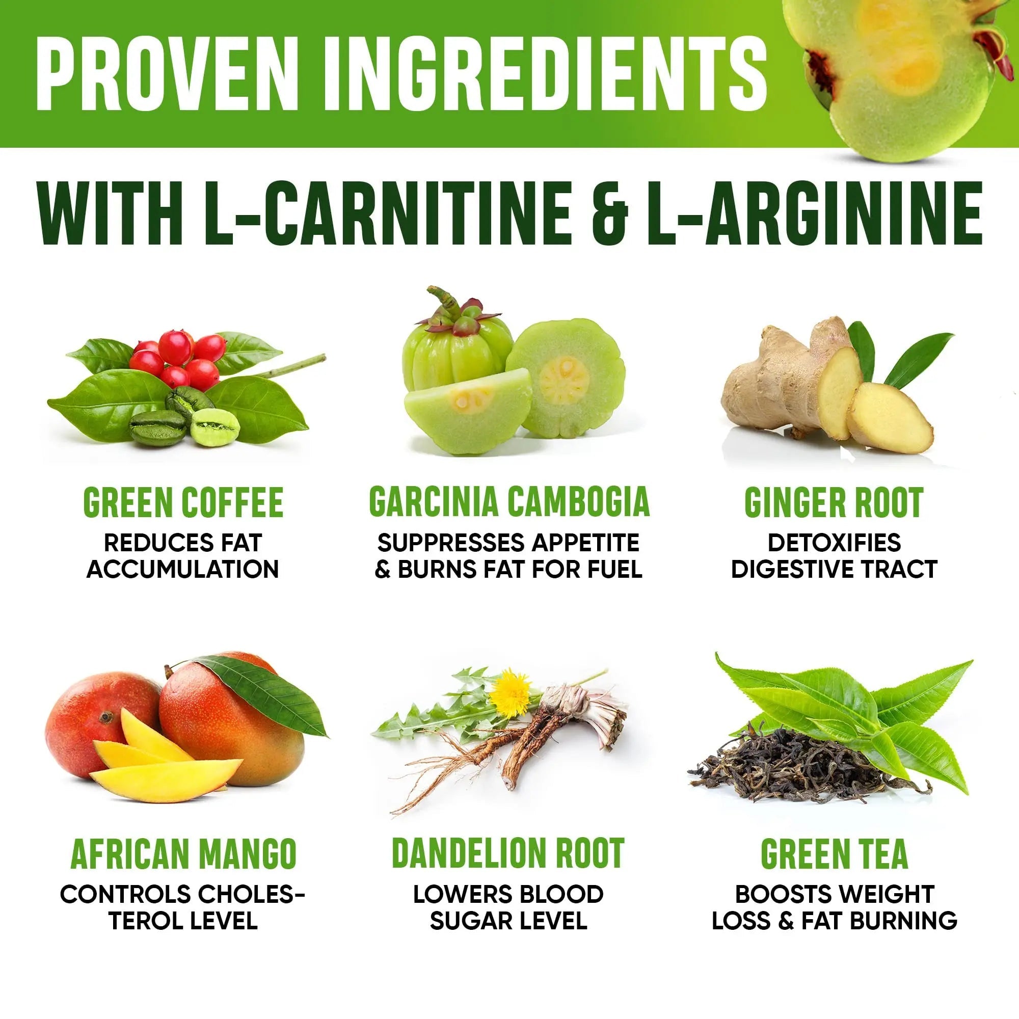 SHAPELINE Weight Loss Drops - Diet Drops 1 Fl Oz & 2 Fl Oz - Made in The USA - Appetite - TrustMedUSA