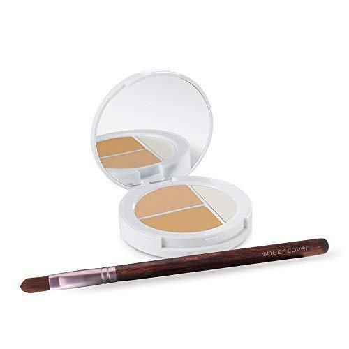 Sheer Cover Studio – Conceal and Brighten Highlight Trio – Two-Toned Concealers – Shimmering Highlighter – Light/Medium Shade – With FREE Concealer Brush – 3 Grams - TrustMedUSA