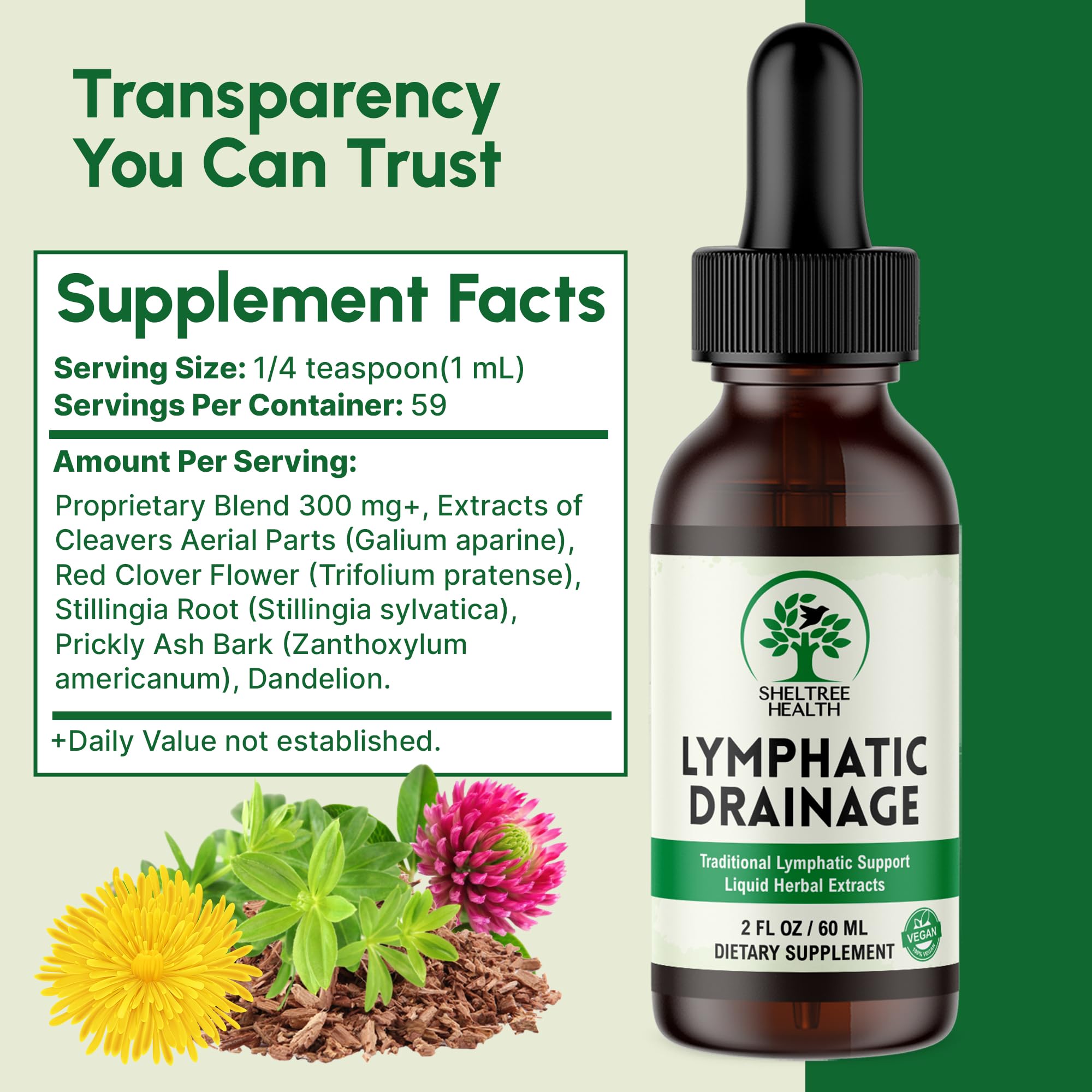 SHELTREE HEALTH Lymphatic Drainage Drops, 2 Fl. Oz | Organic Lymphatic Drainage Supplements with Cleavers, Red Clover Flower, Stillingia Root, Prickly Ash Bark, Dandelion | Vegan | Non-GMO - Maple Wellness Supplements