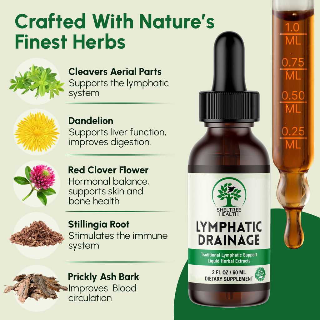 SHELTREE HEALTH Lymphatic Drainage Drops, 2 Fl. Oz | Organic Lymphatic Drainage Supplements with Cleavers, Red Clover Flower, Stillingia Root, Prickly Ash Bark, Dandelion | Vegan | Non-GMO - Maple Wellness Supplements