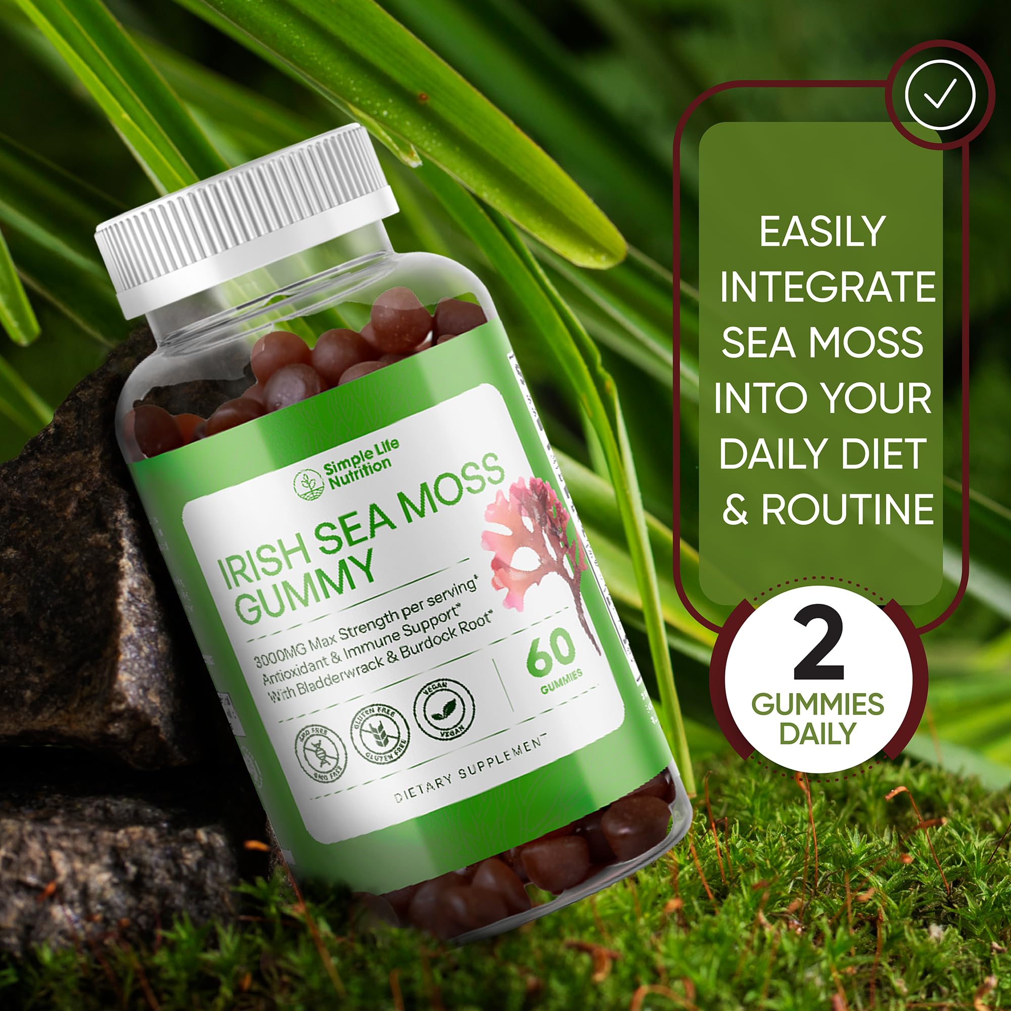 Simple Life Nutrition Organic Irish Sea Moss Gummies - Burdock Root and Bladderwrack Natural Blend - Immune System Gut Cleanse & Thyroid Supplement - Skin and Nail Health - 60CT - TrustMedUSA