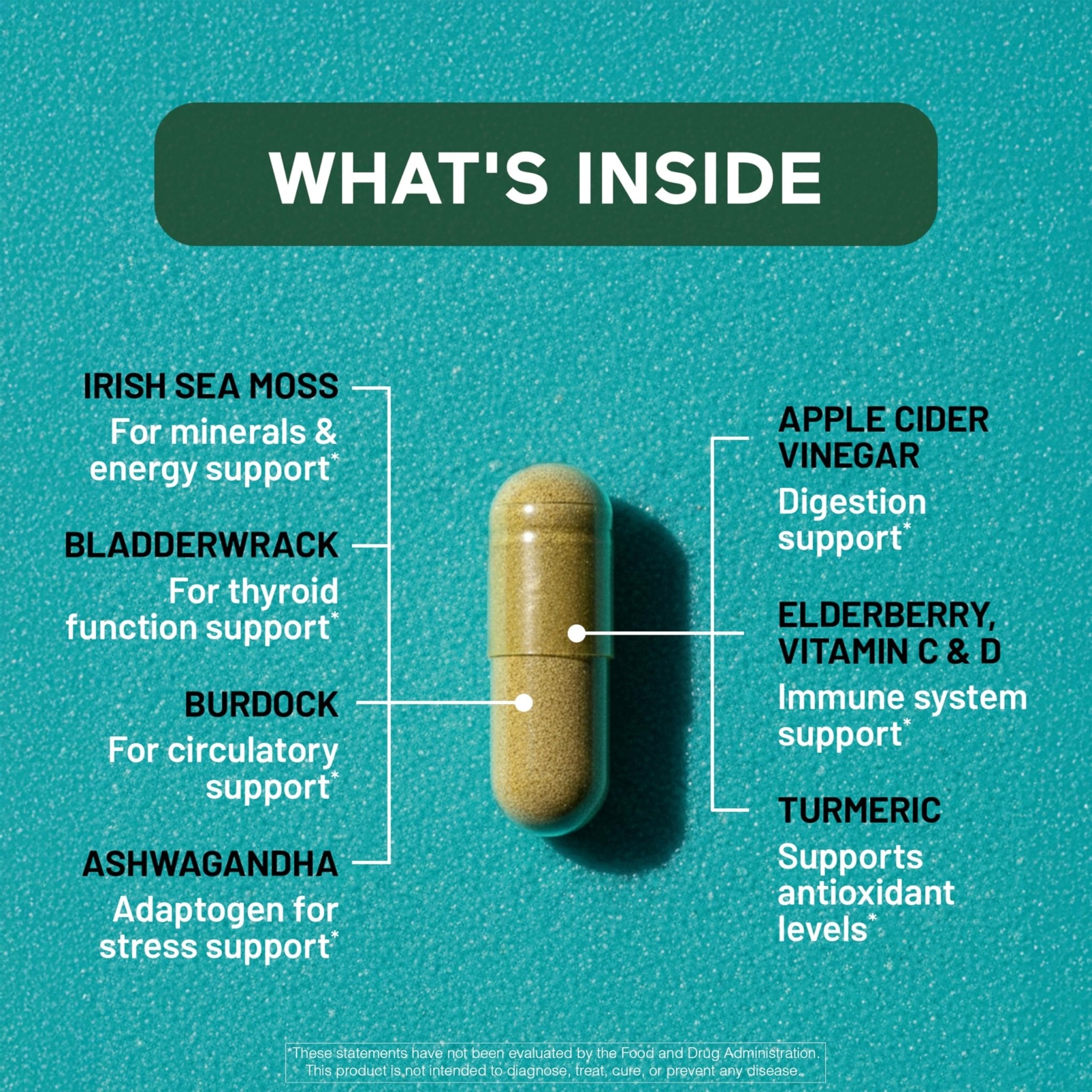 SMARTERNUTRITION Sea Moss Multimineral with Irish Sea Moss with Ashwagandha Bladderwrack Turmeric Zinc Vitamin C Elderberry Dandelion - Non-GMO, USA Manufactured - 60 Capsules[30 Day Supply] - TrustMedUSA