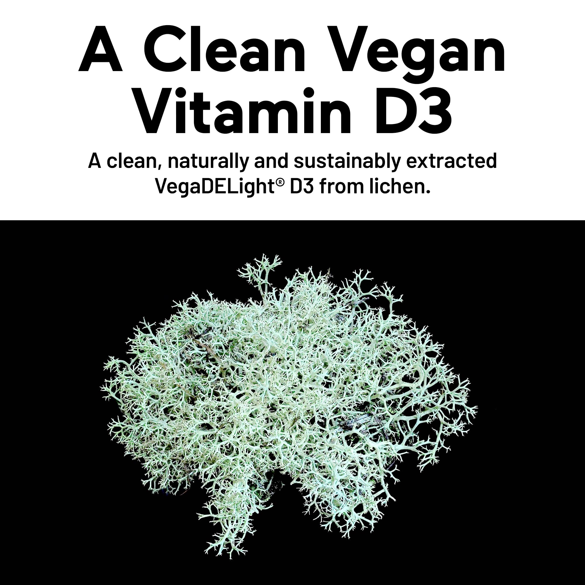 SMARTERNUTRITION Vegan Vitamin D3 5000 IU + Natural Vitamin K2 1100 mcg in Organic Coconut & Olive Oil - D3 K2 Supplement for Immune & Bone Support - TrustMedUSA