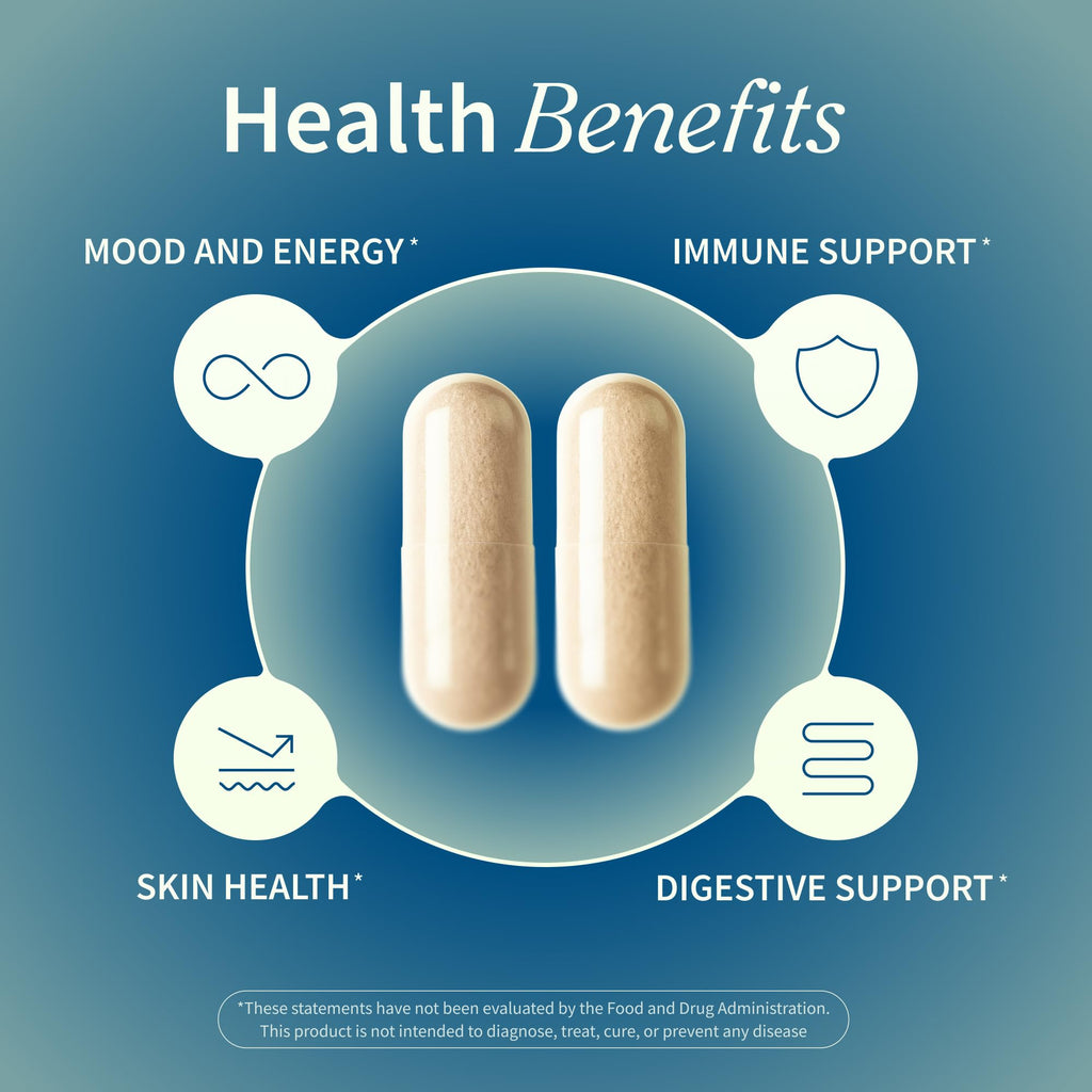 Snap Supplements Irish Sea Moss with Bladderwrack, Burdock Root & Iodine – Natural Sea Moss Supplement to Support Gut Health, Energy & Healthy-Looking Skin, 60 Vegan Capsules (1 Month Supply) - TrustMedUSA