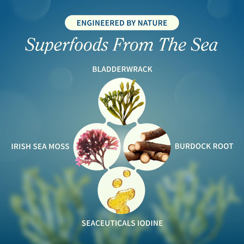 Snap Supplements Irish Sea Moss with Bladderwrack, Burdock Root & Iodine – Natural Sea Moss Supplement to Support Gut Health, Energy & Healthy-Looking Skin, 60 Vegan Capsules (1 Month Supply) - TrustMedUSA